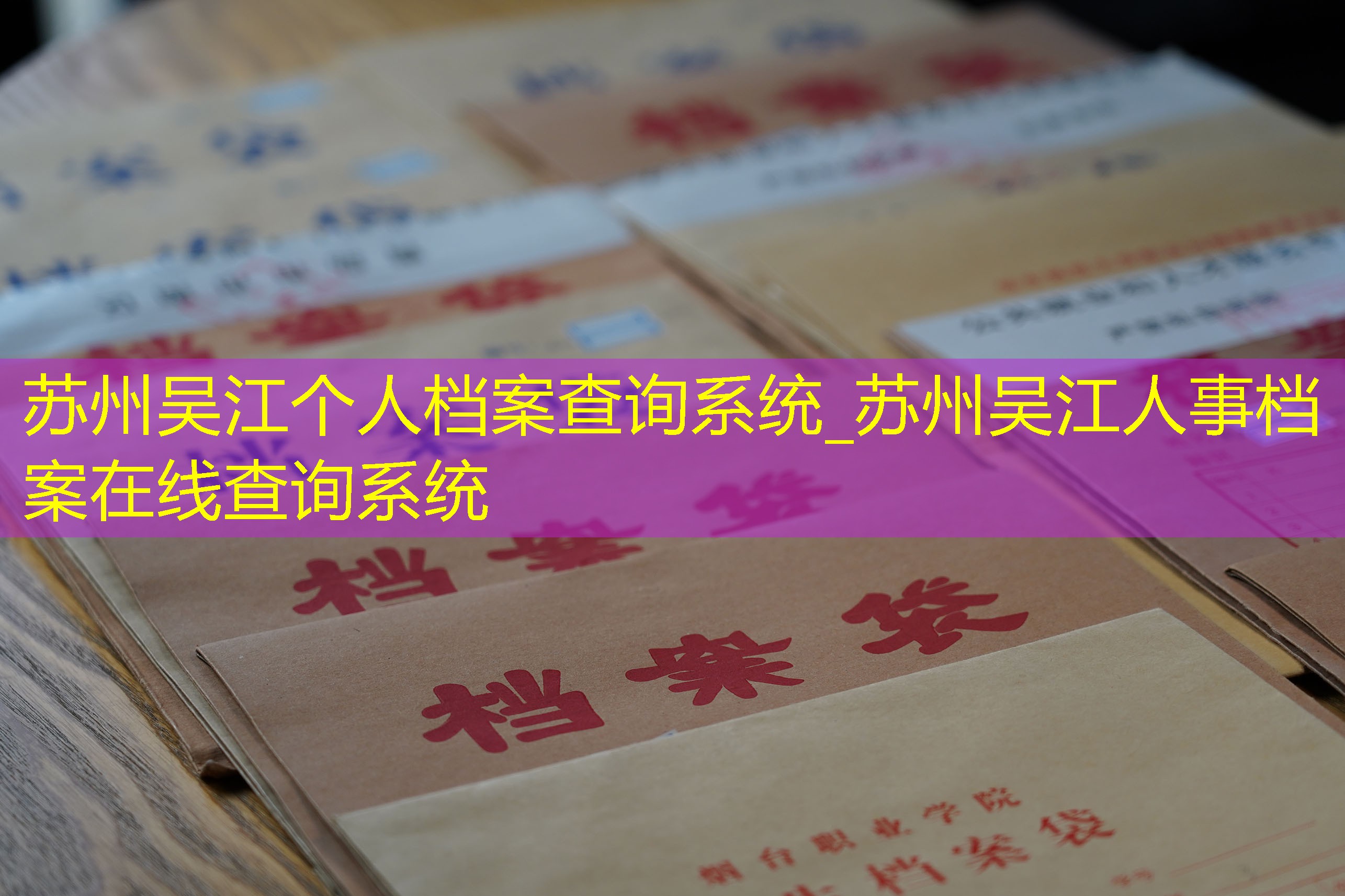 档案查询