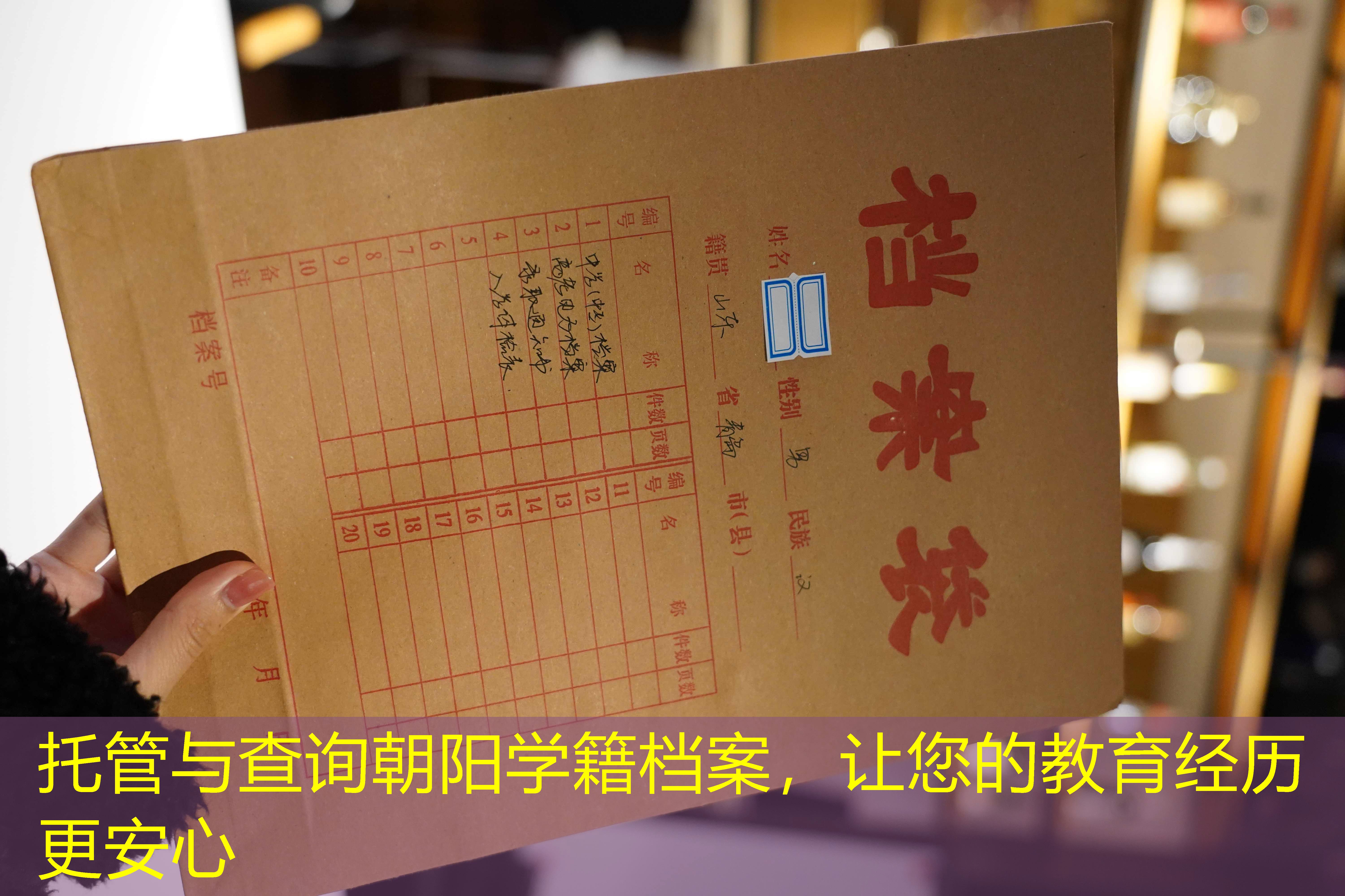 档案查询