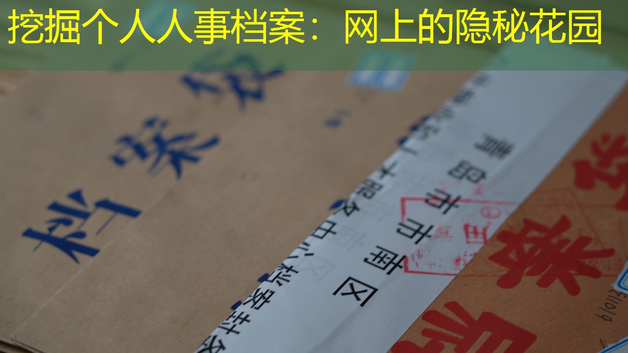档案查询