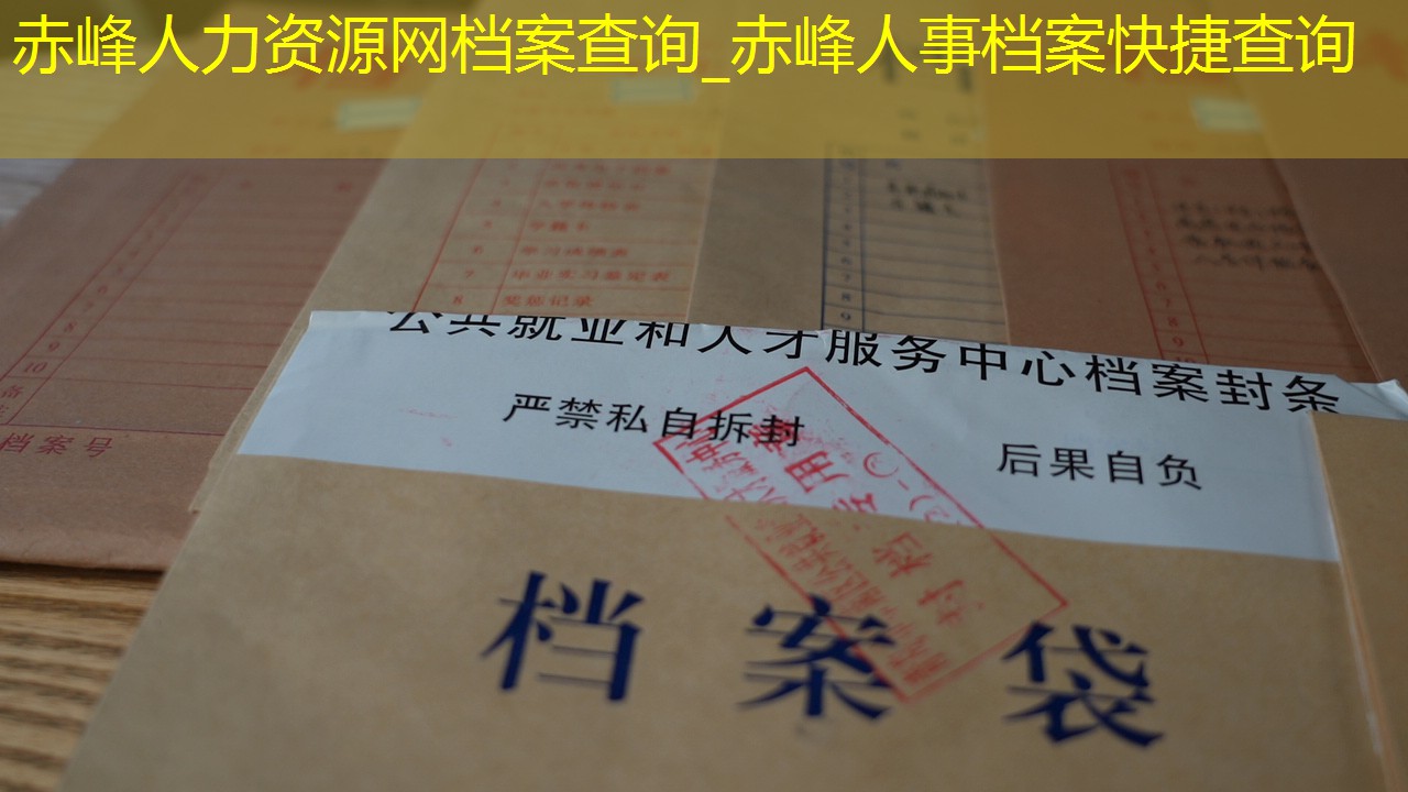 档案查询