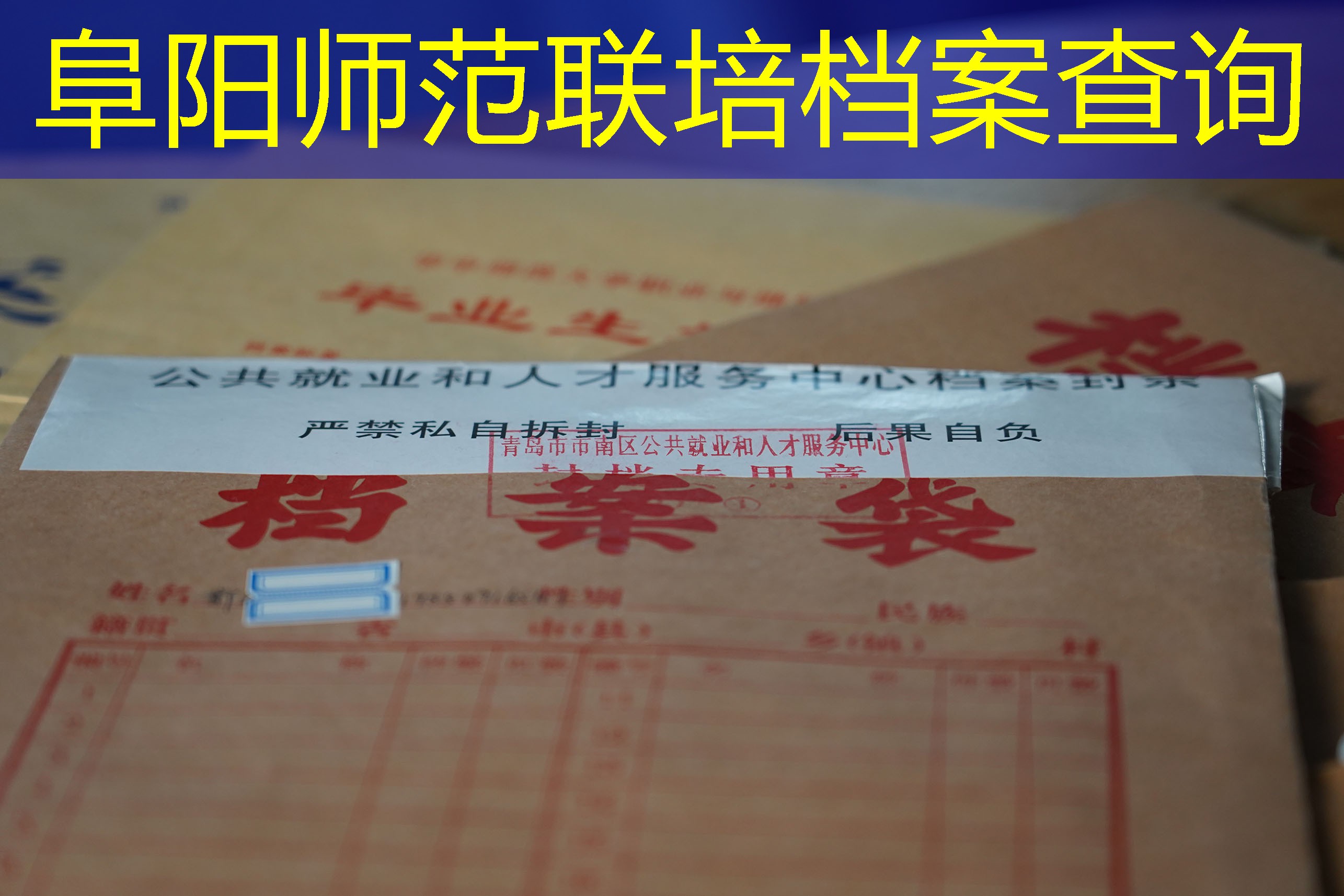 档案查询