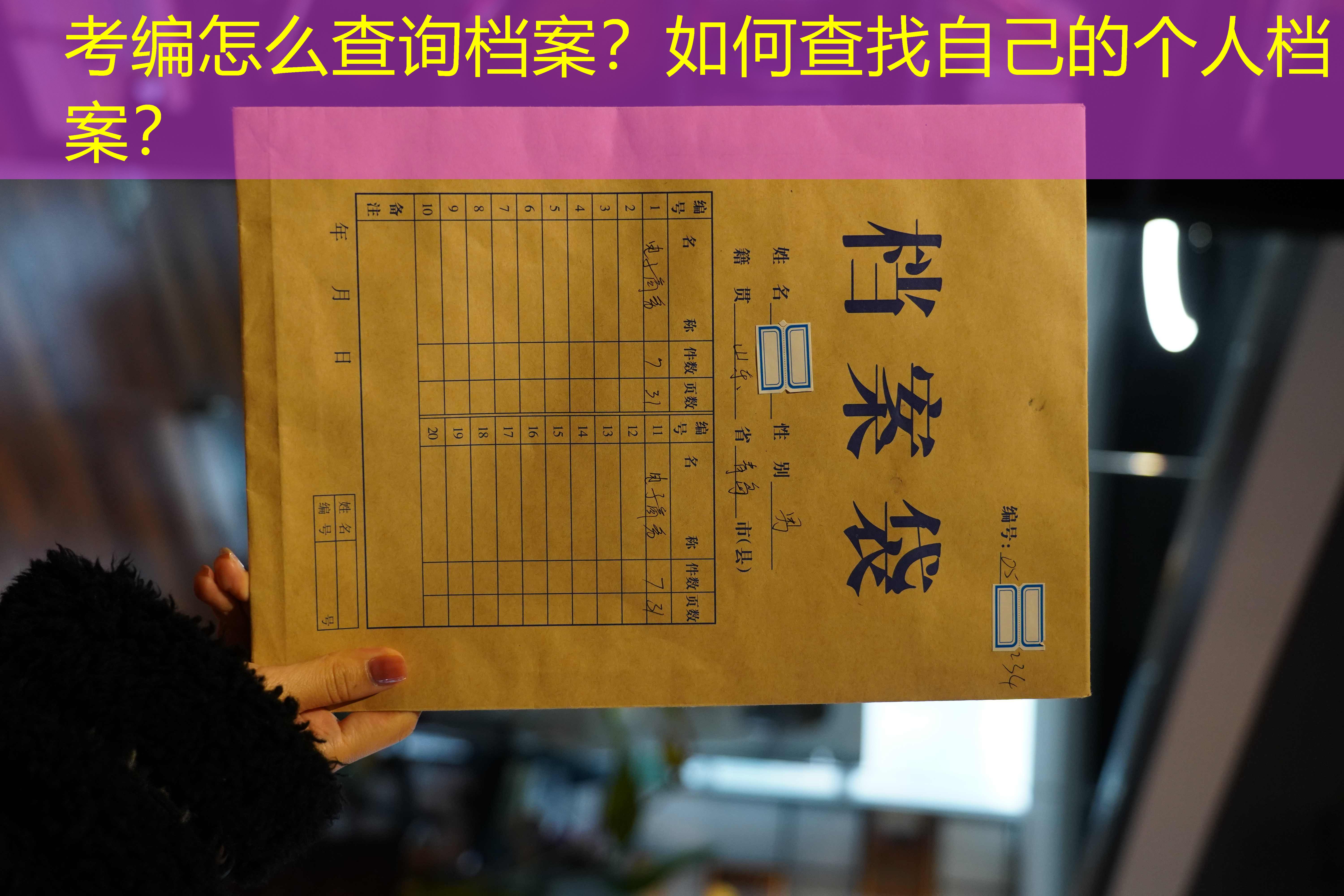 档案查询