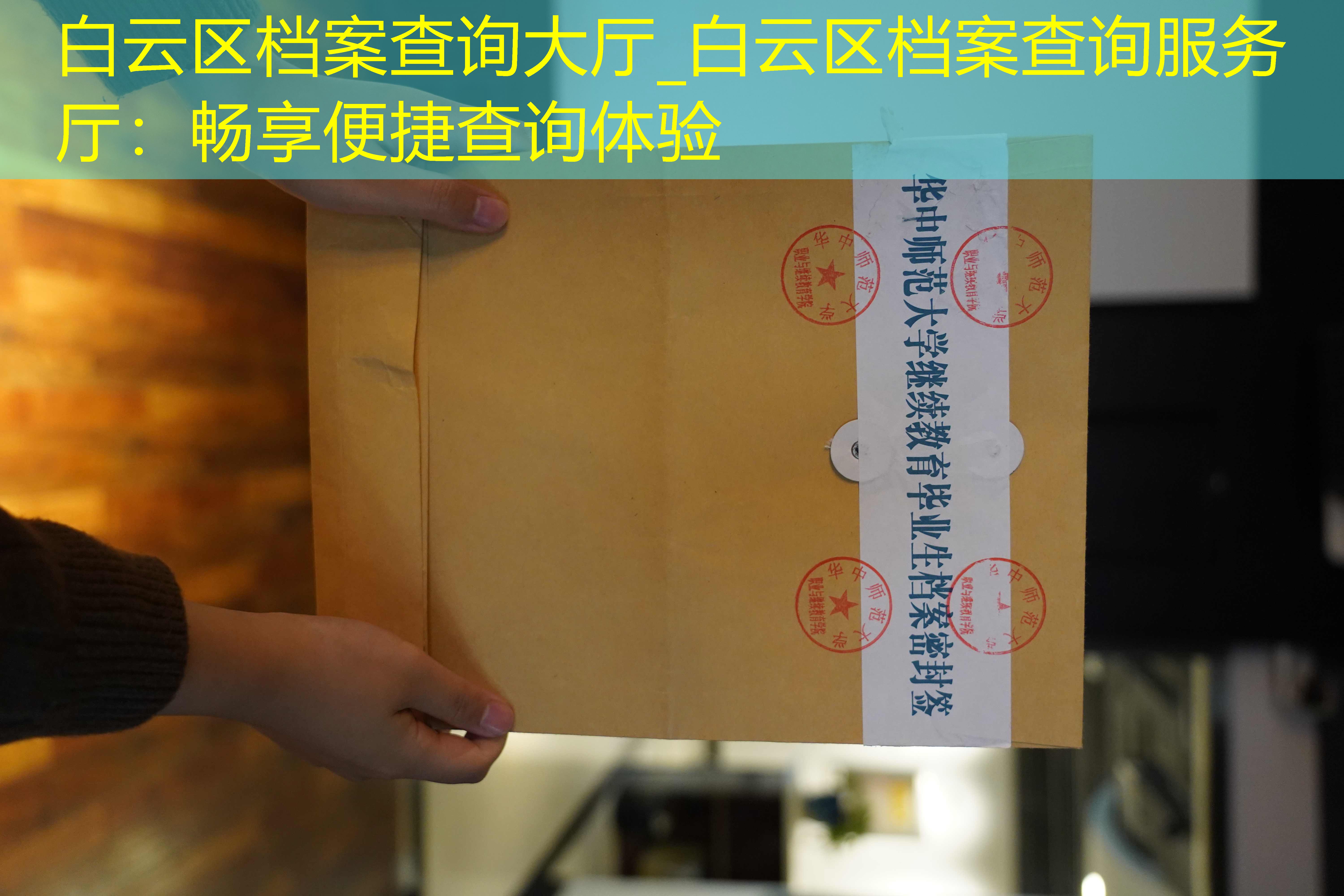 档案查询