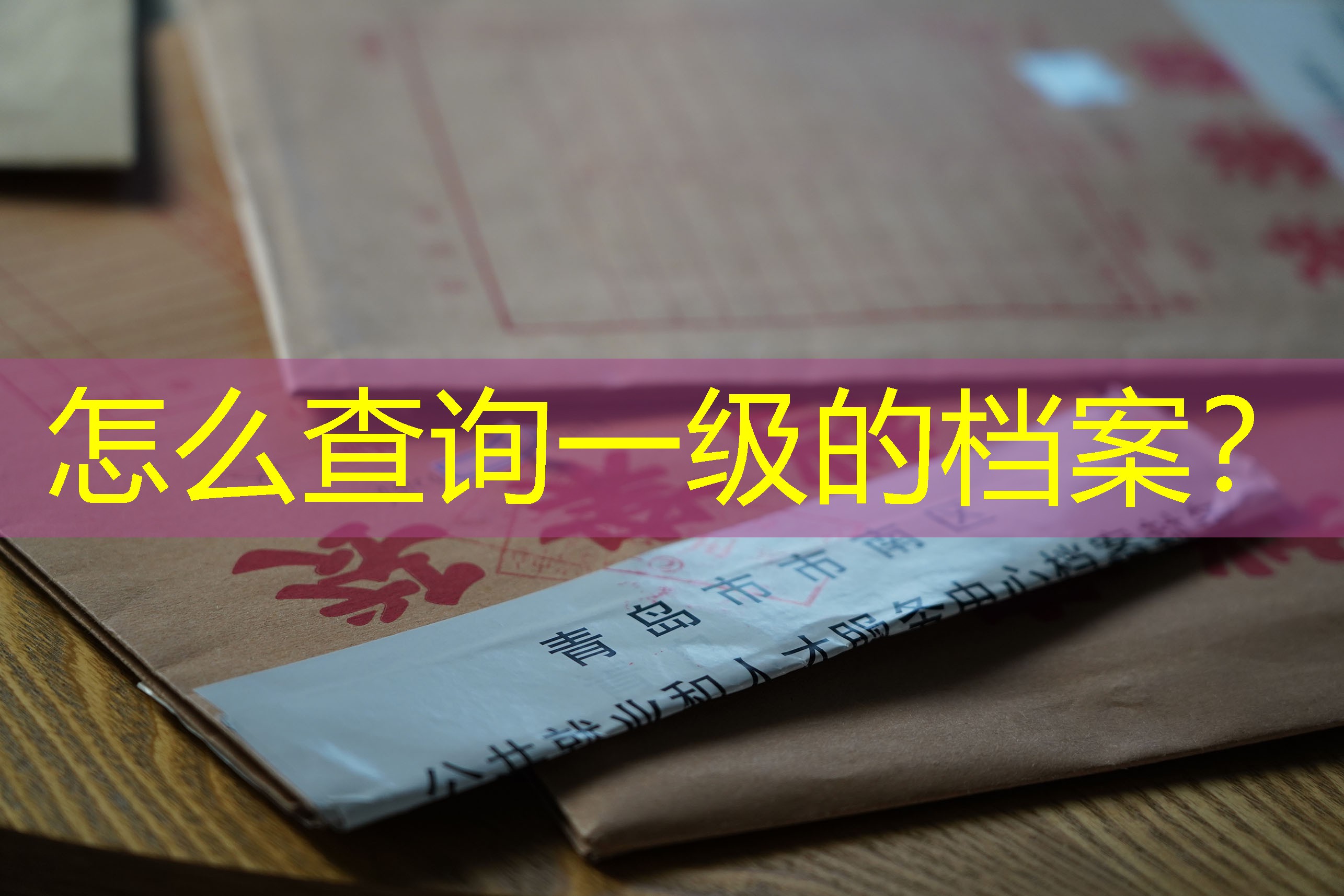 档案查询