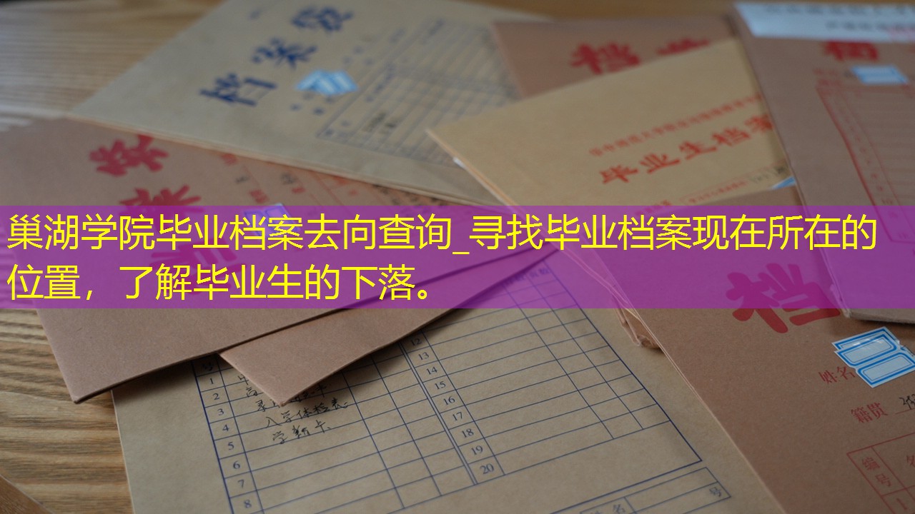 档案查询