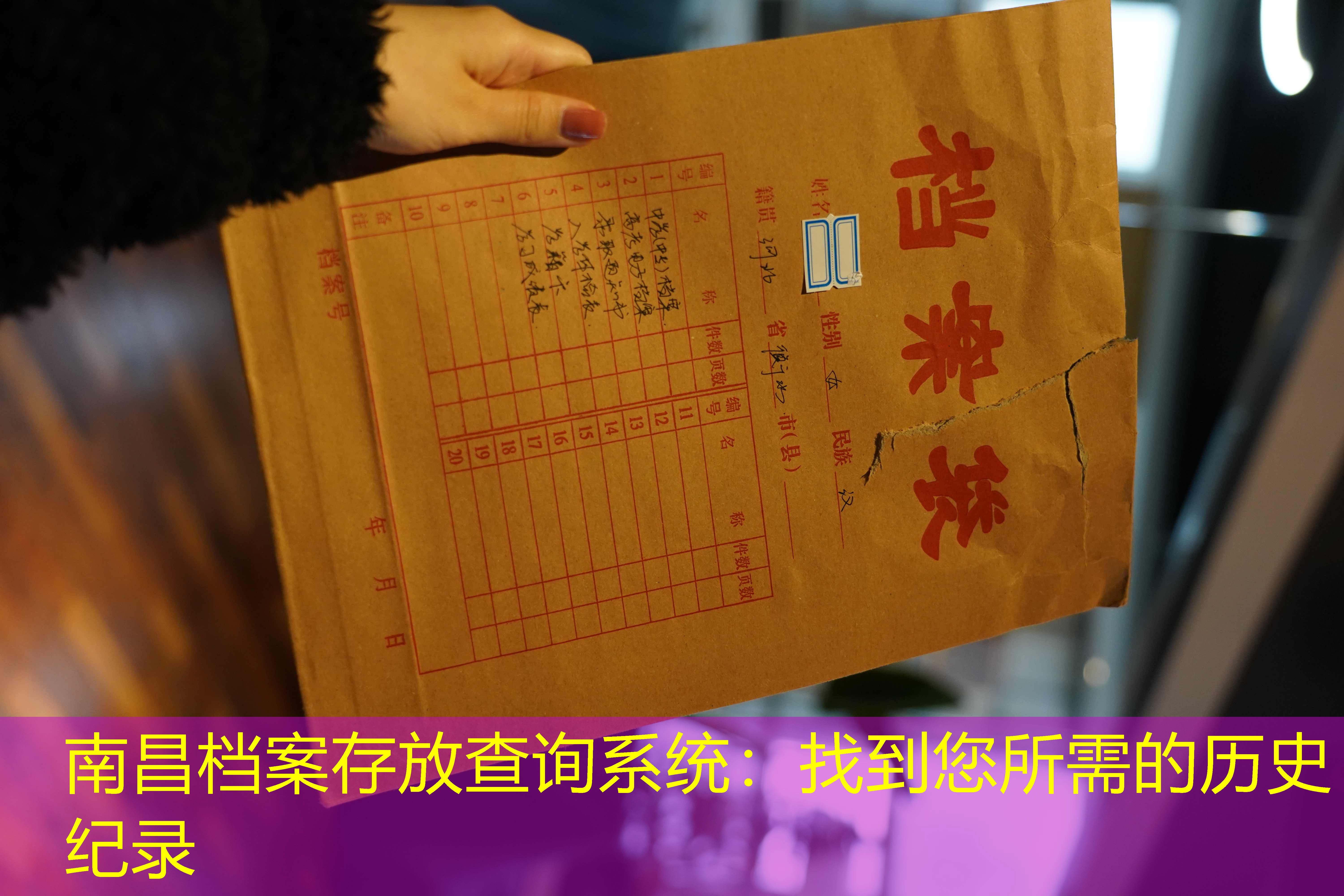 档案查询