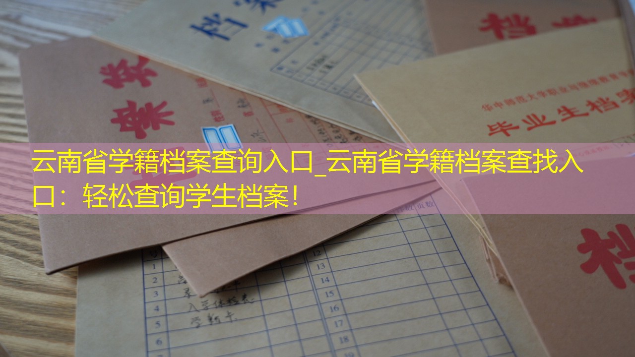 档案查询