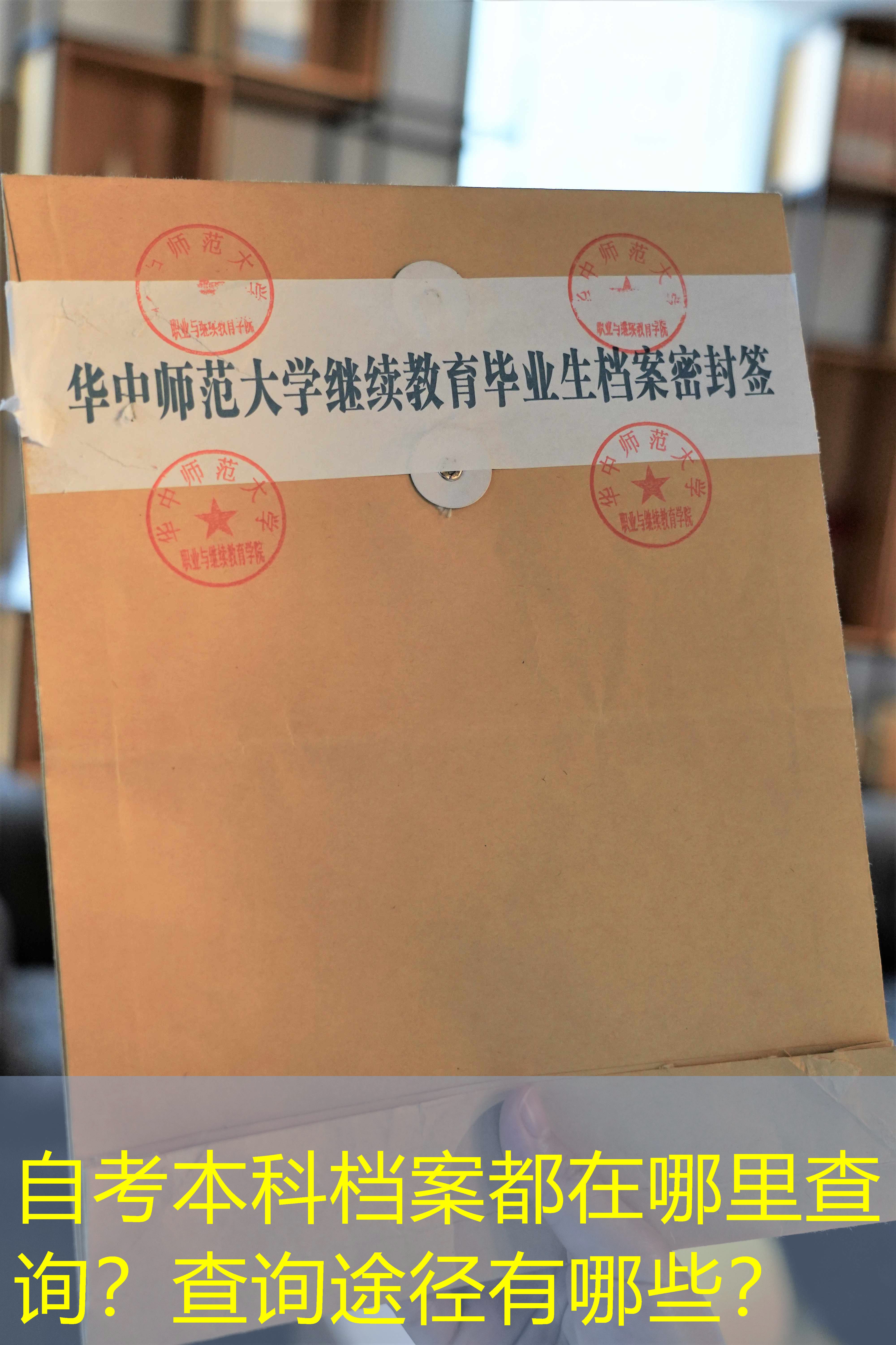 档案查询