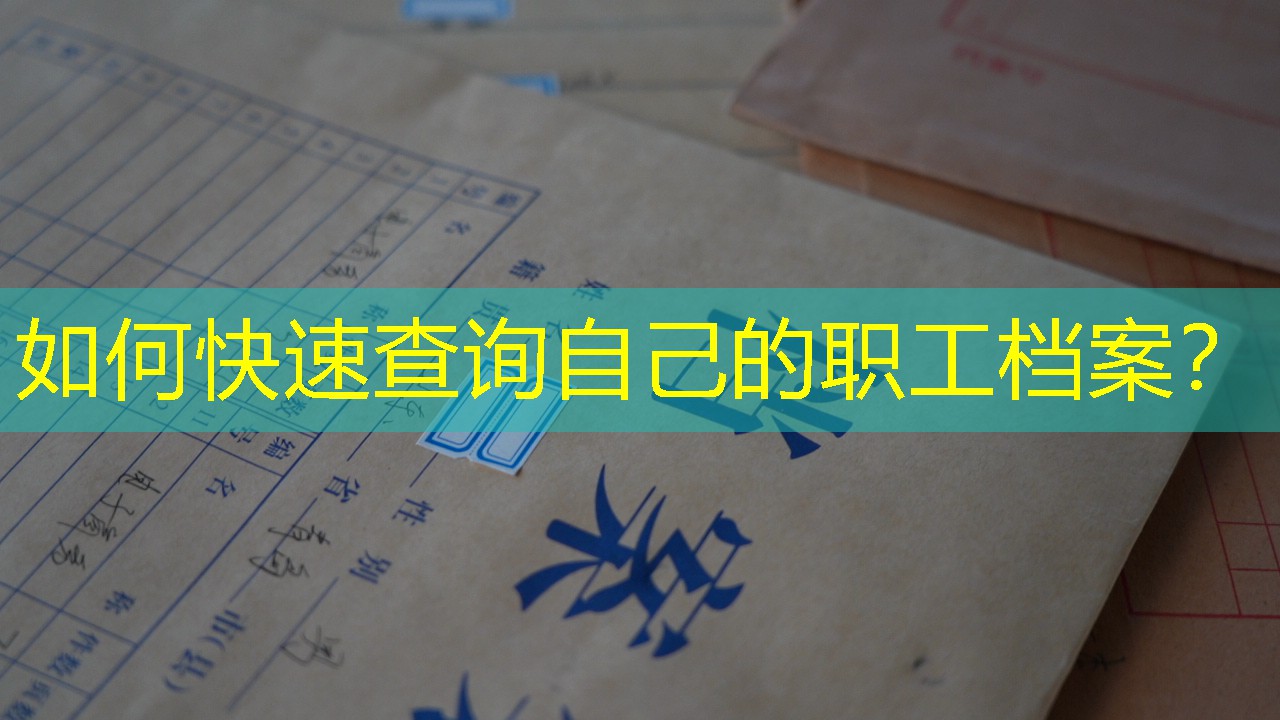 档案查询