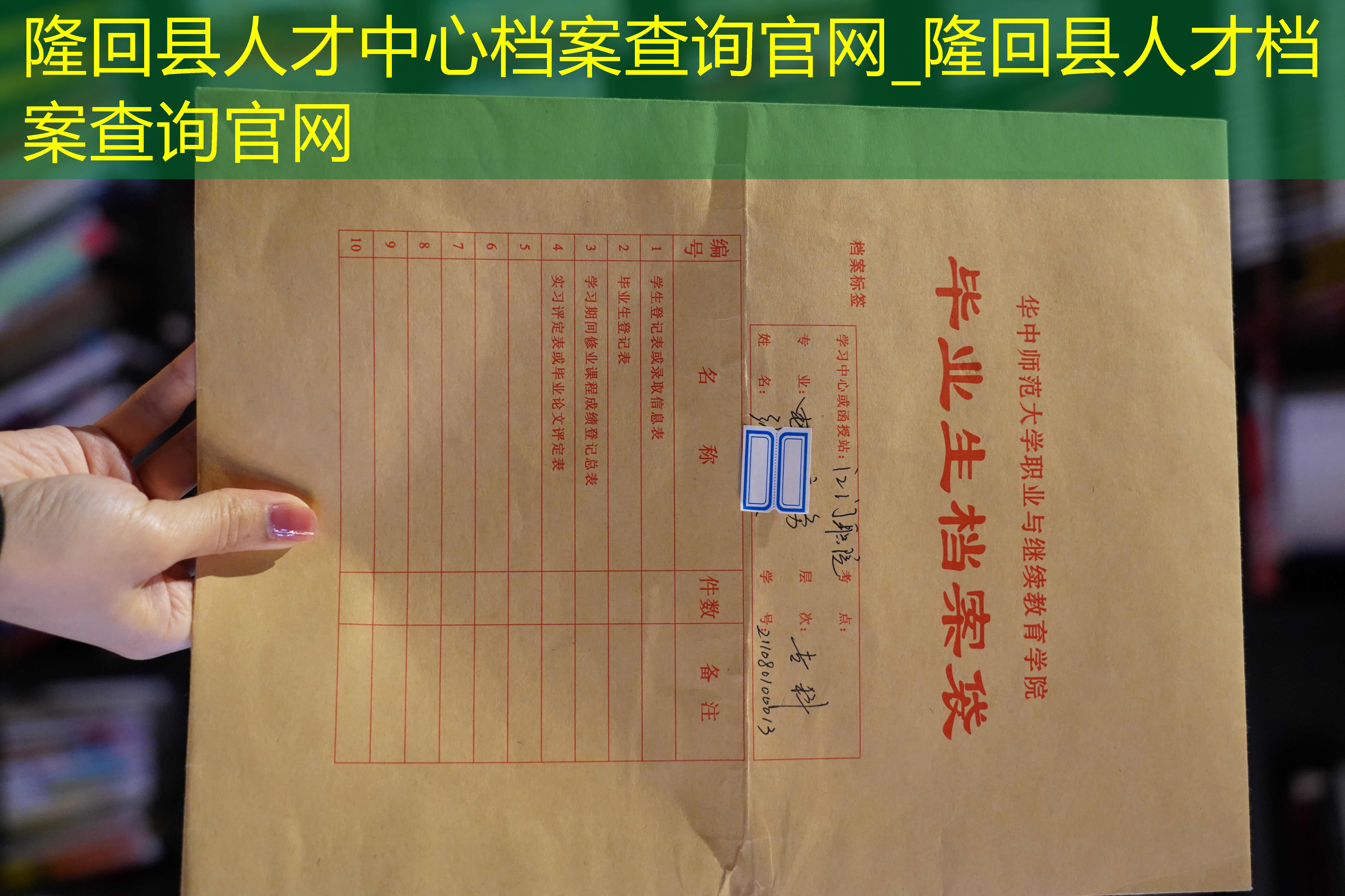 档案查询