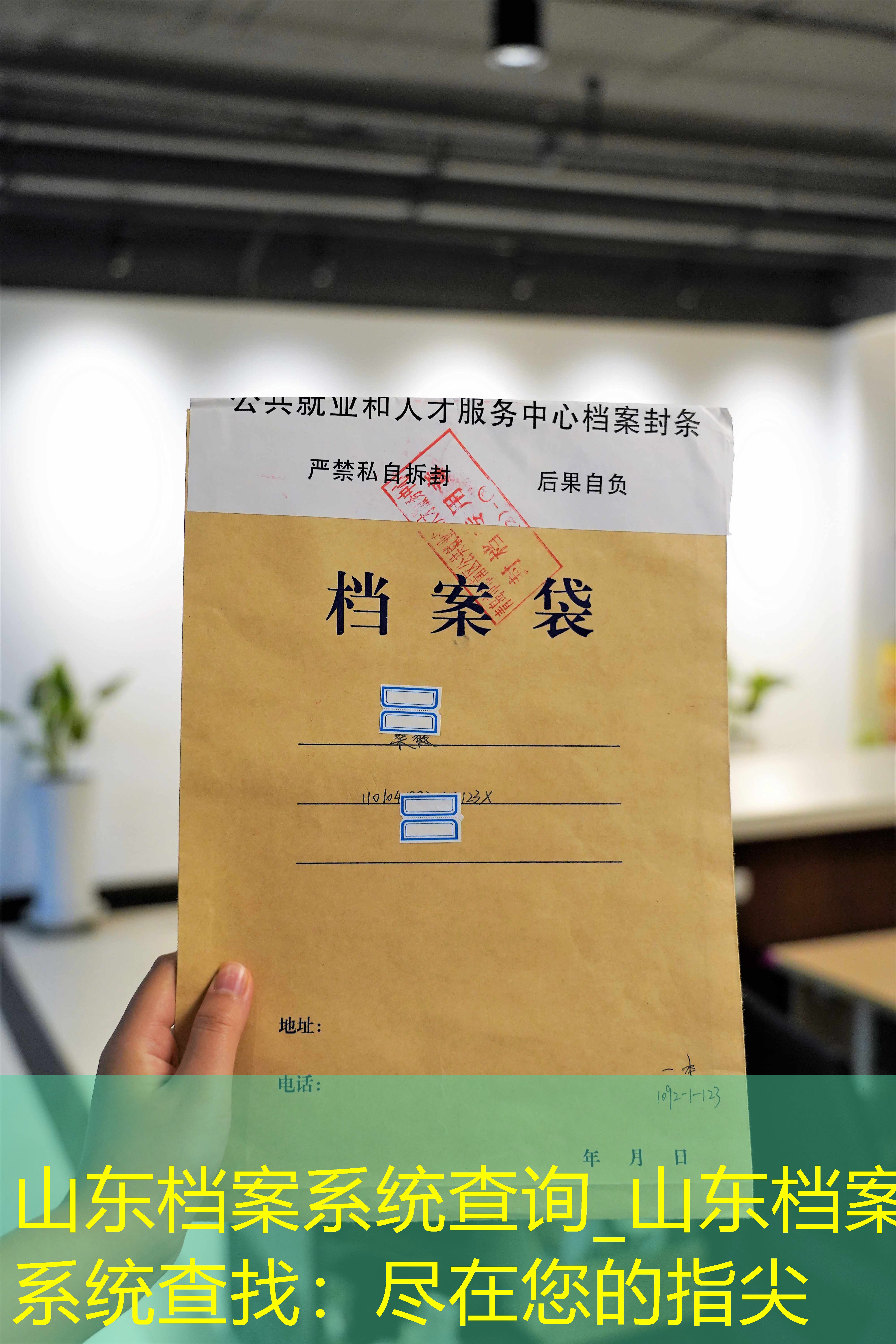 档案查询