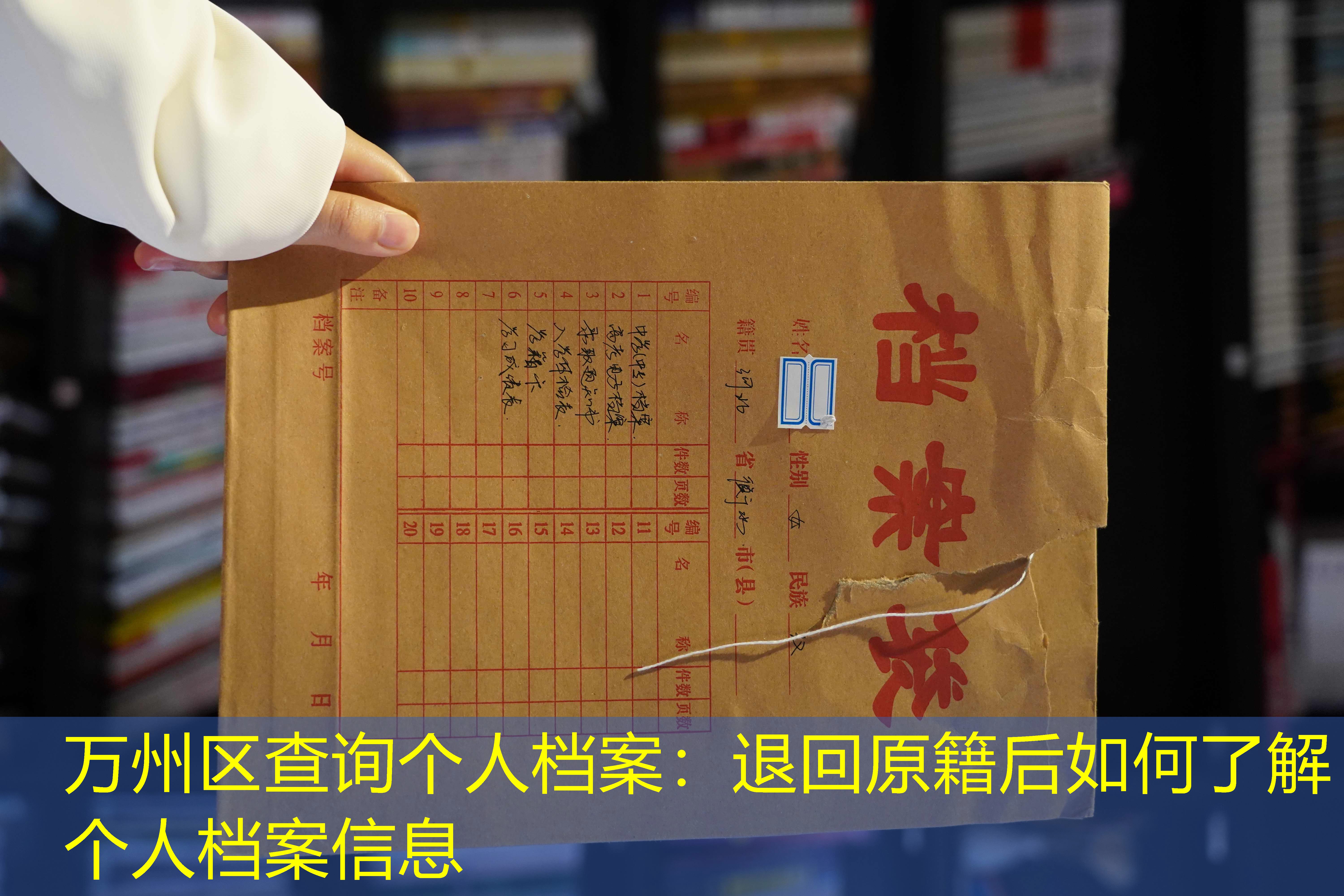 档案查询