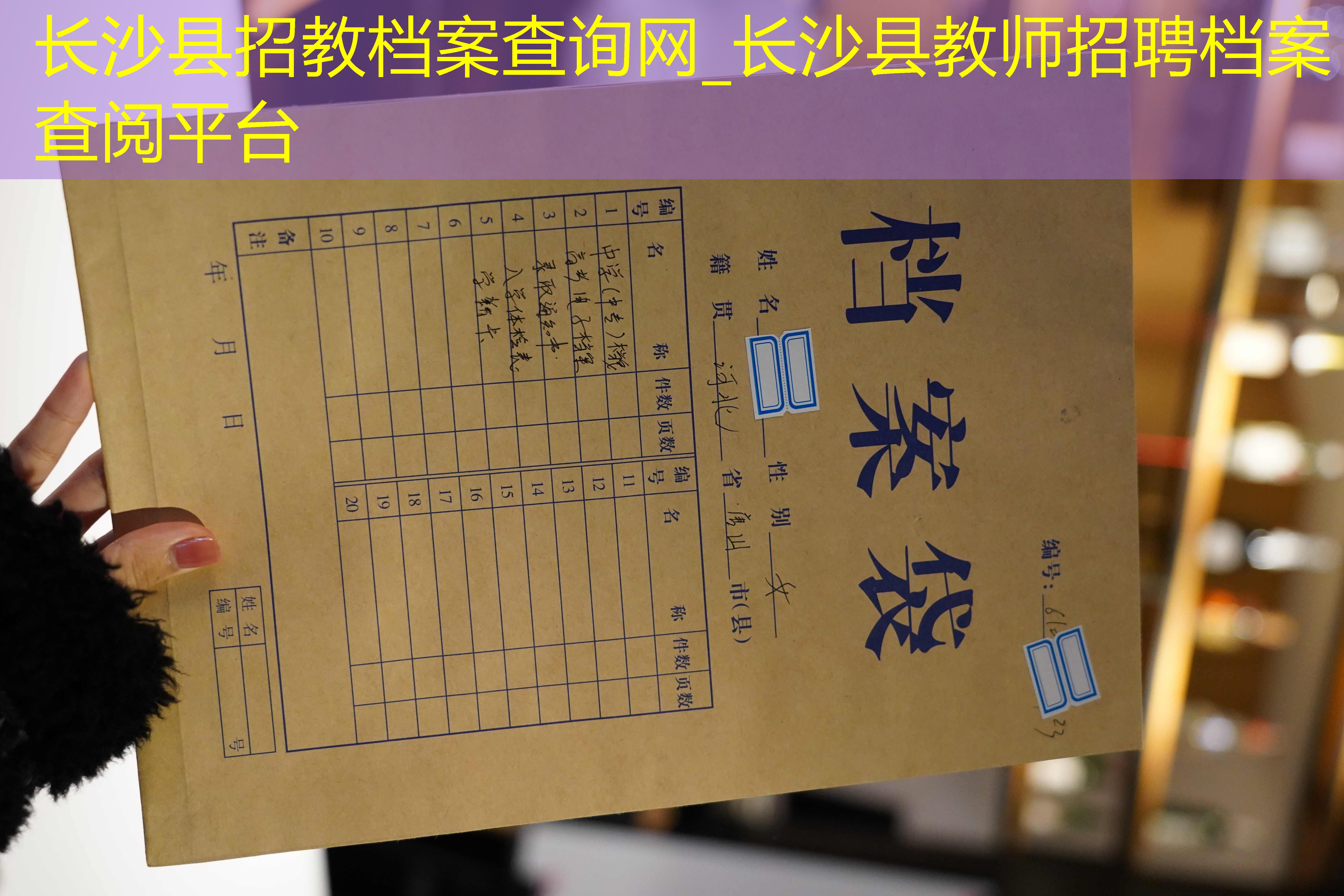 档案查询
