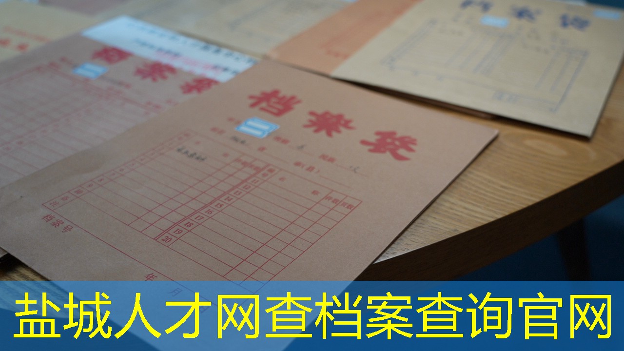 档案查询