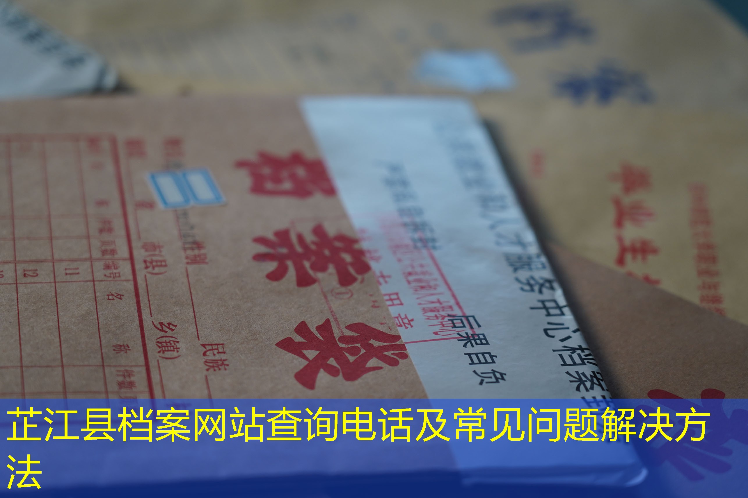 档案查询