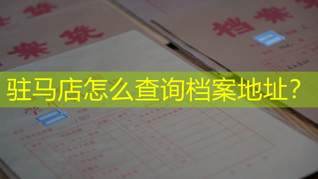 档案查询