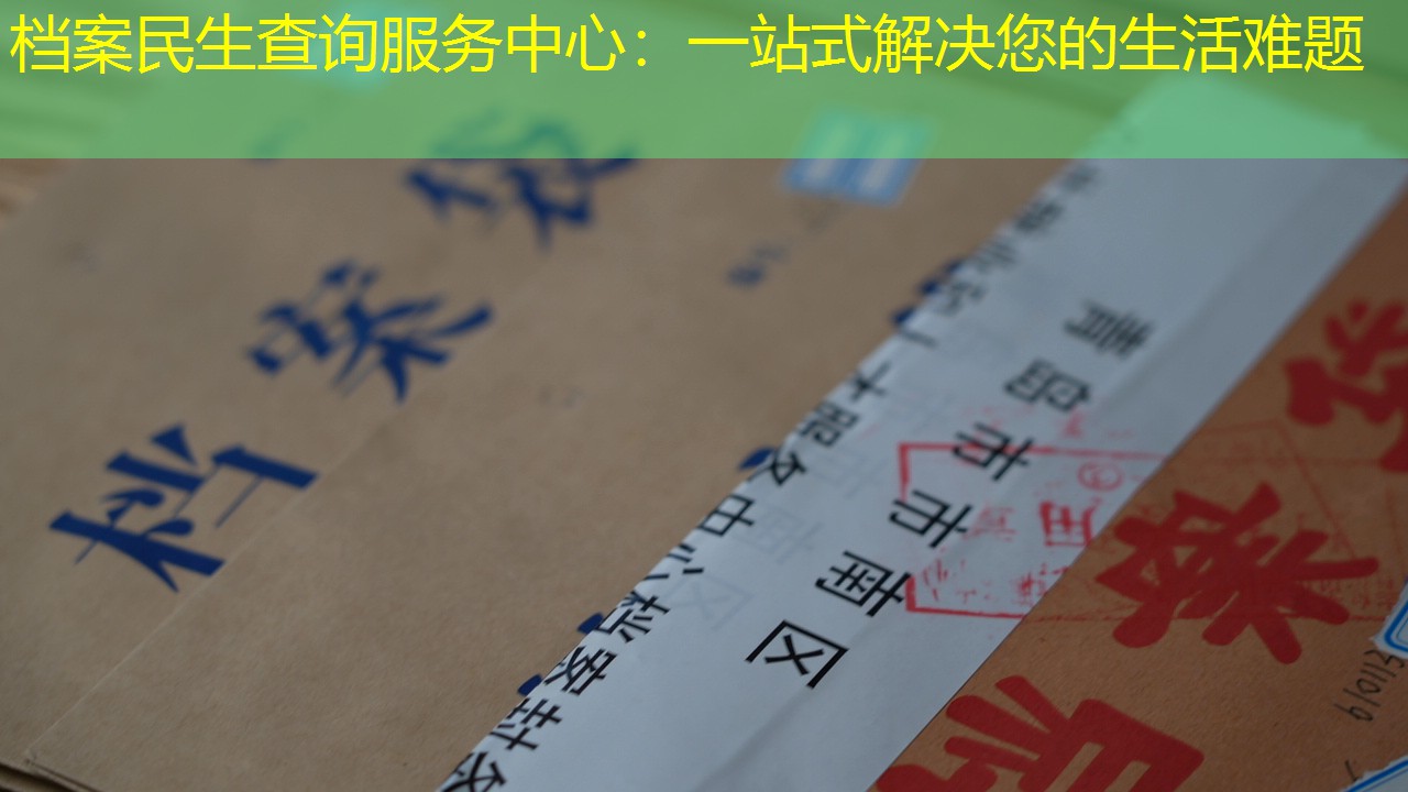 档案查询