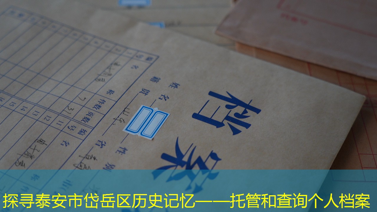 档案查询