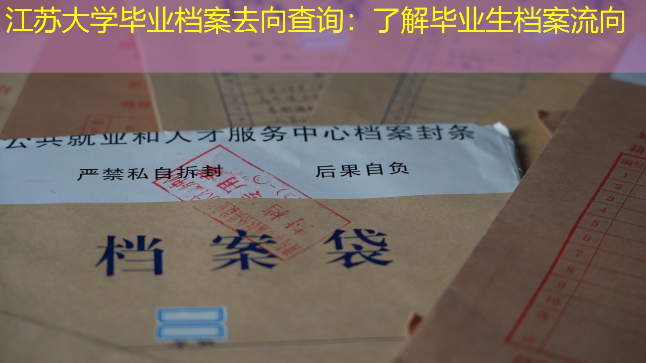 档案查询
