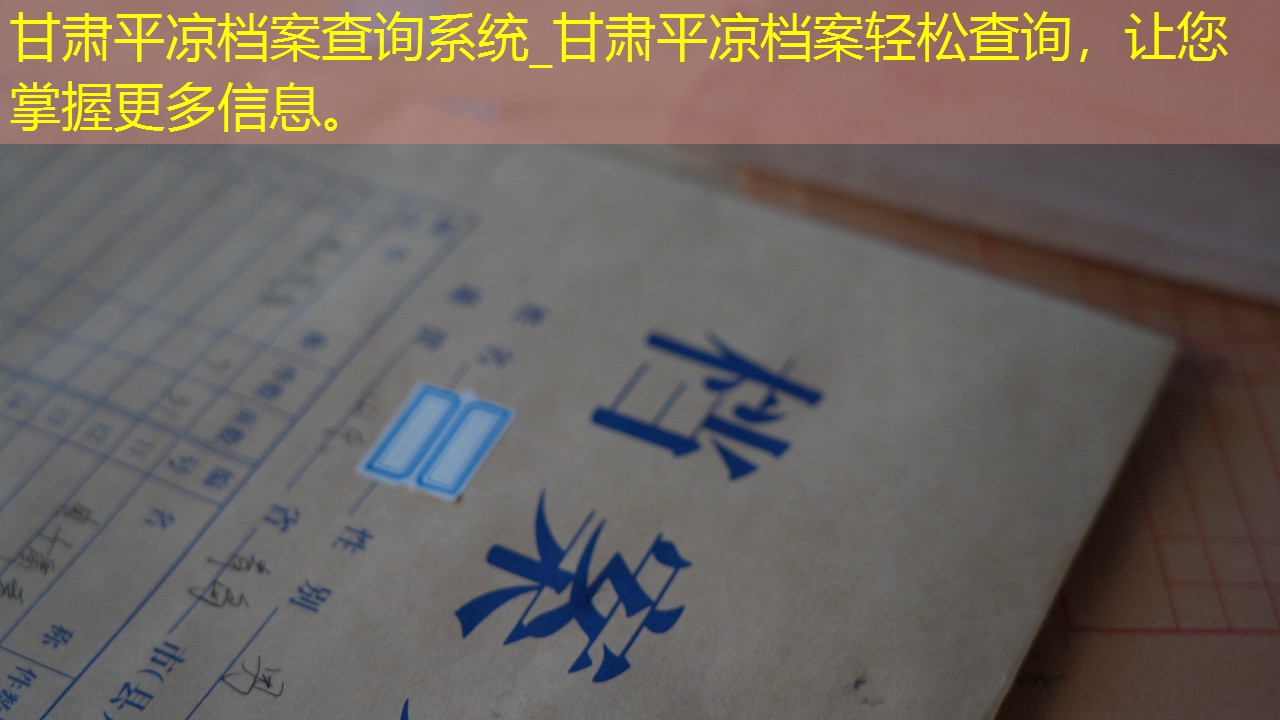 档案查询