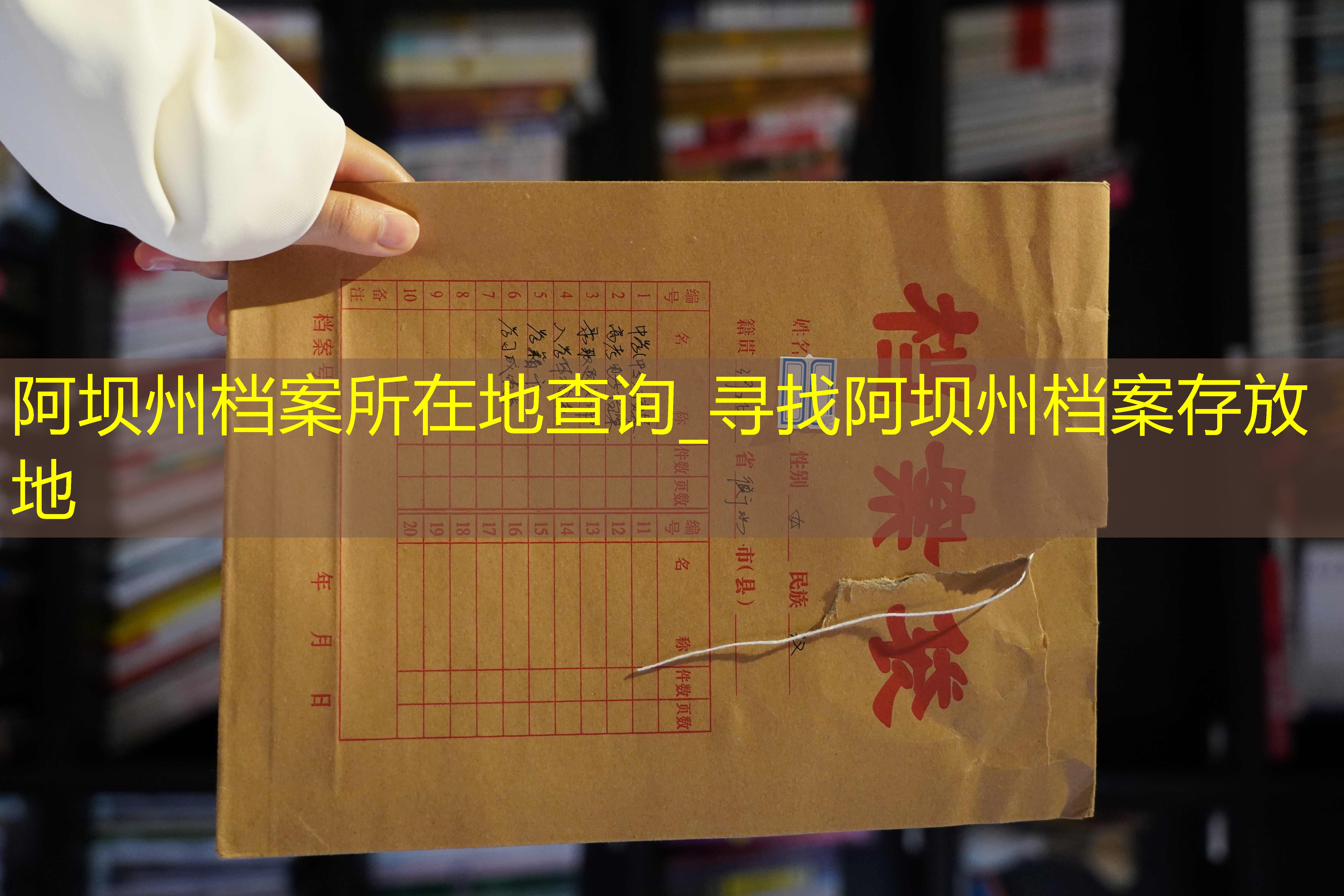 档案查询