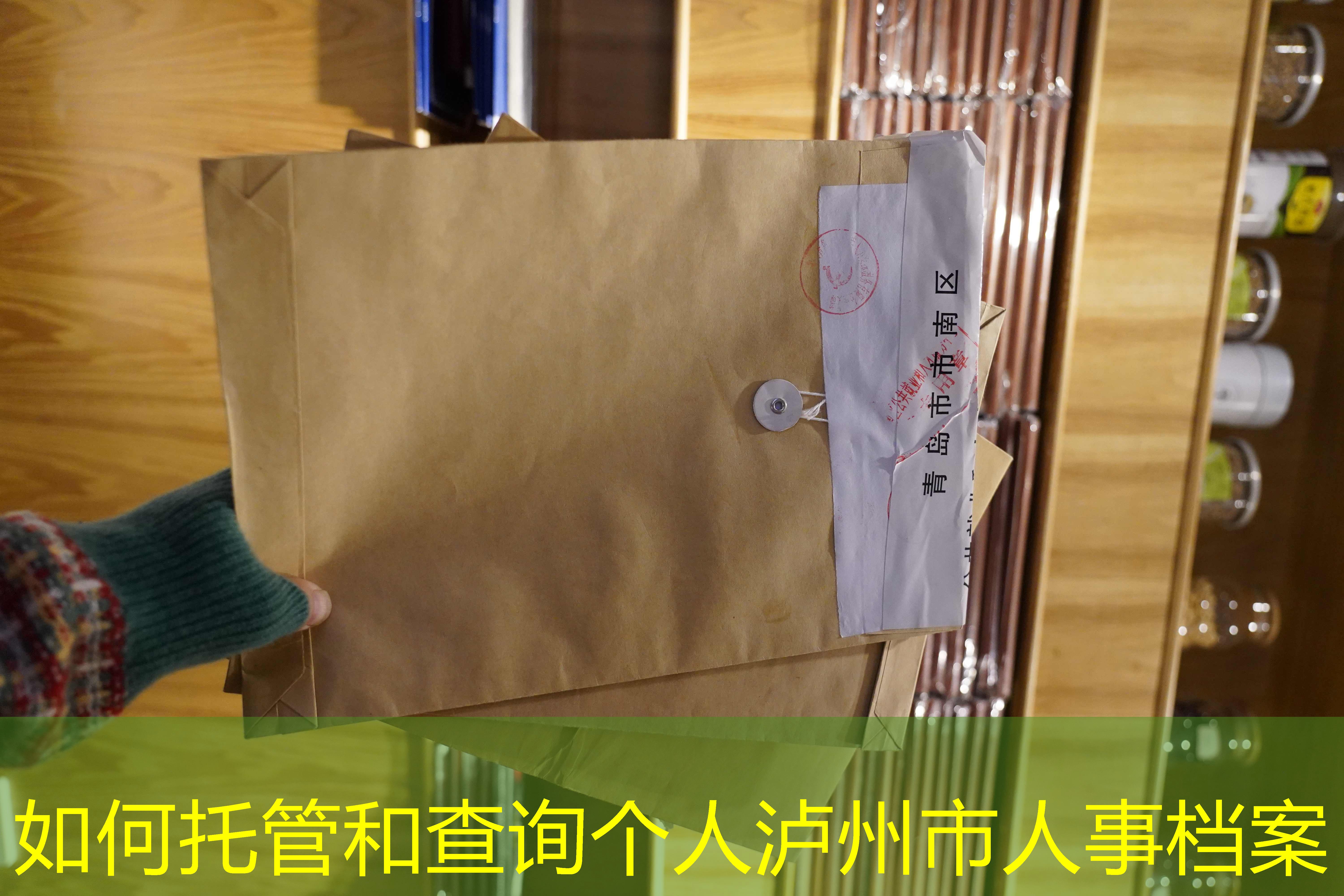 档案查询