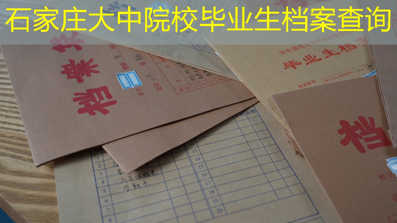 档案查询