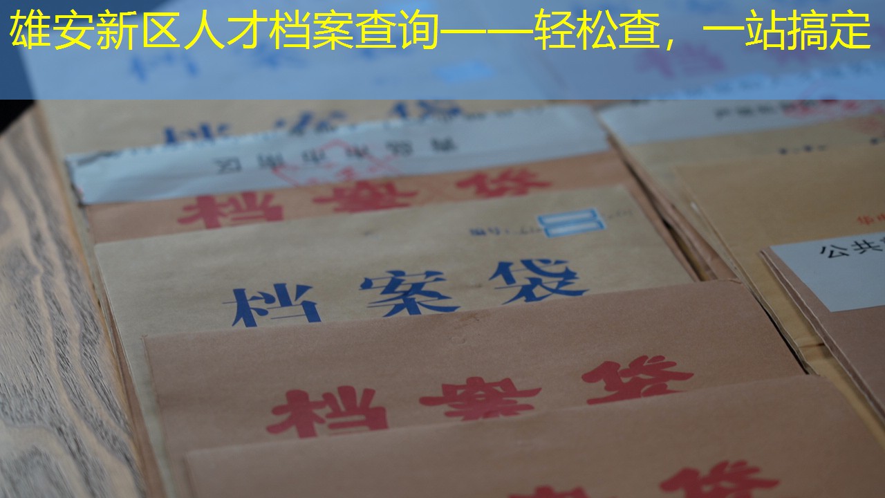 档案查询