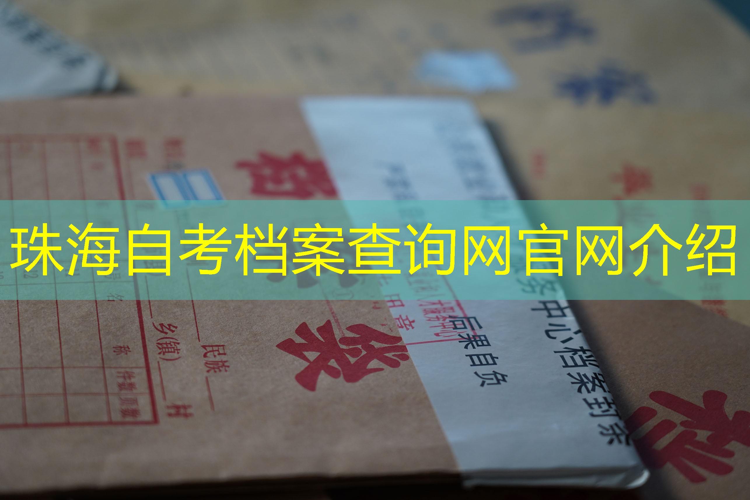 档案查询