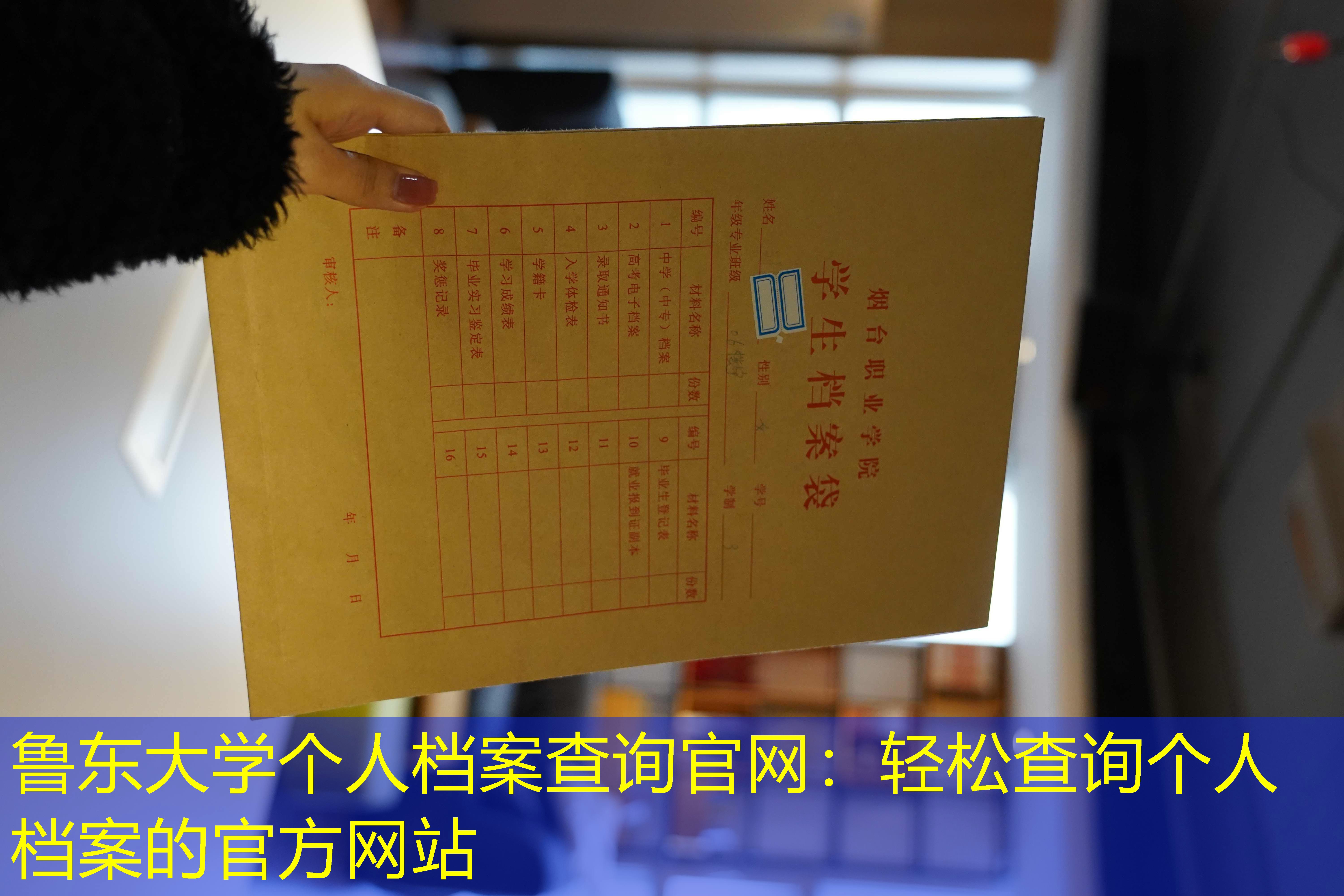档案查询