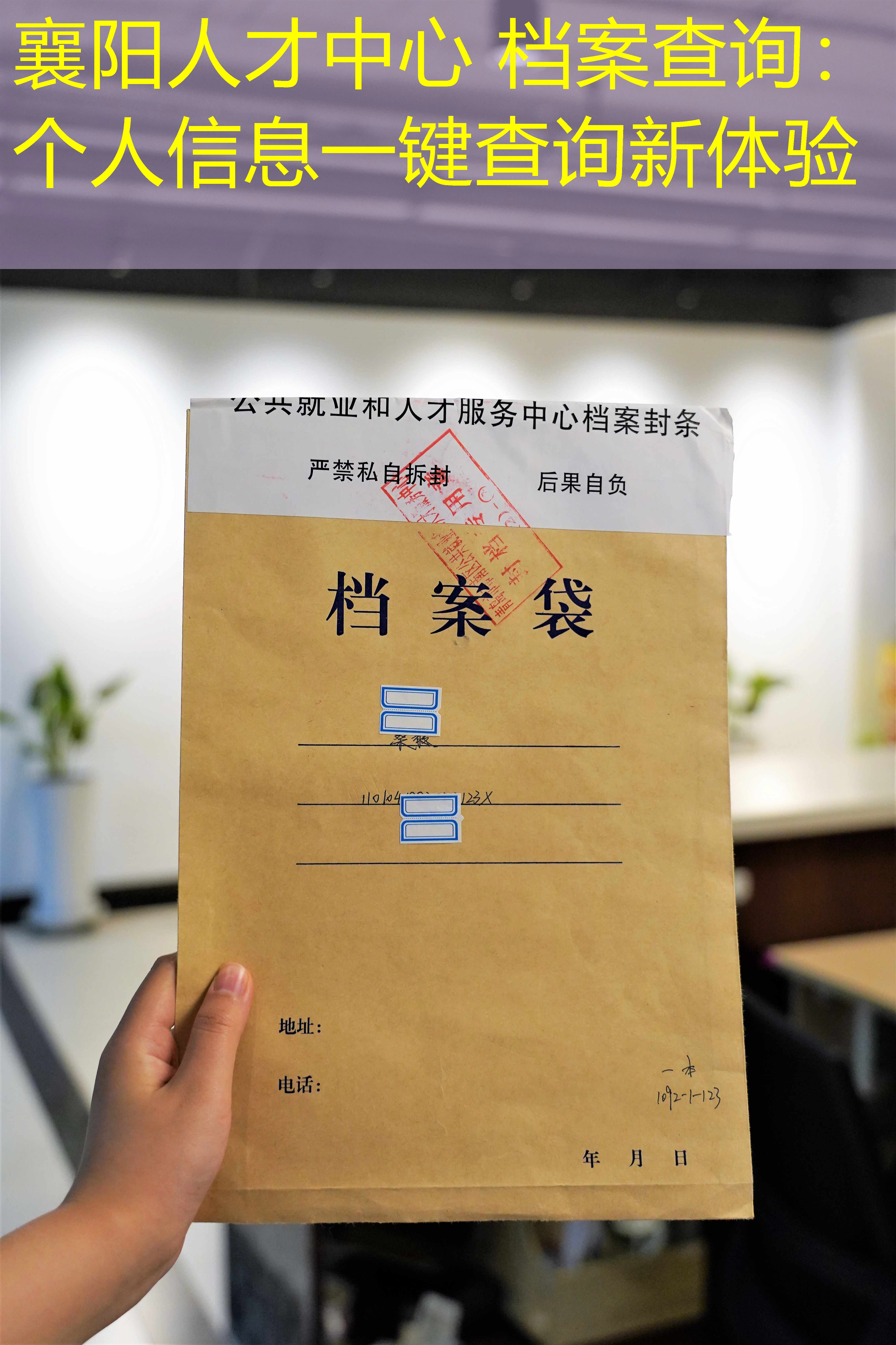 档案查询