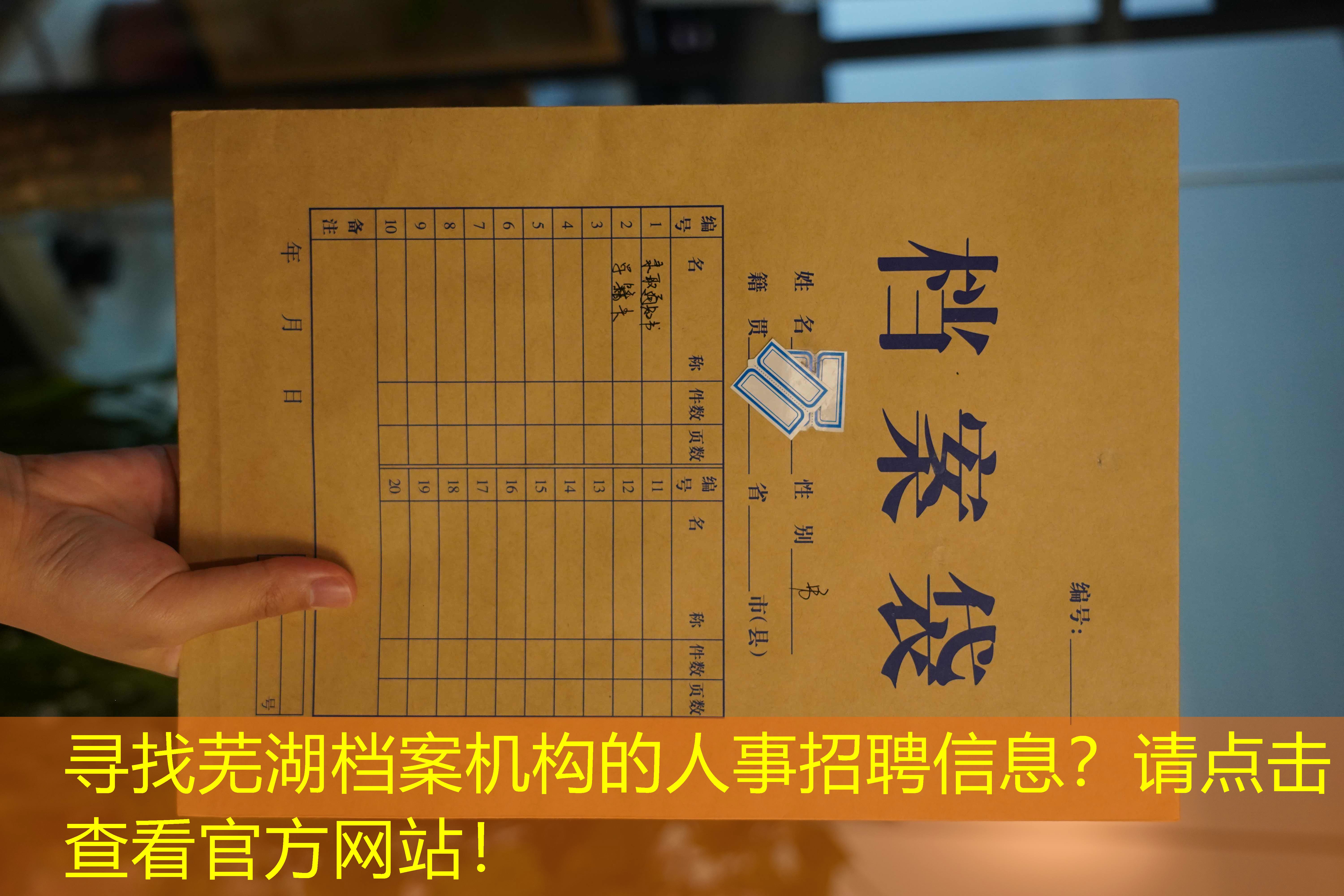 档案查询