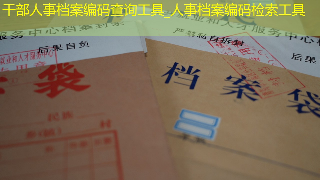 档案查询