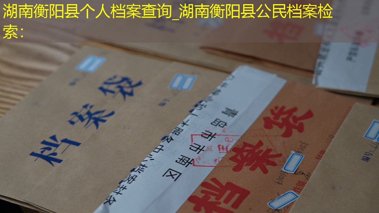 档案查询