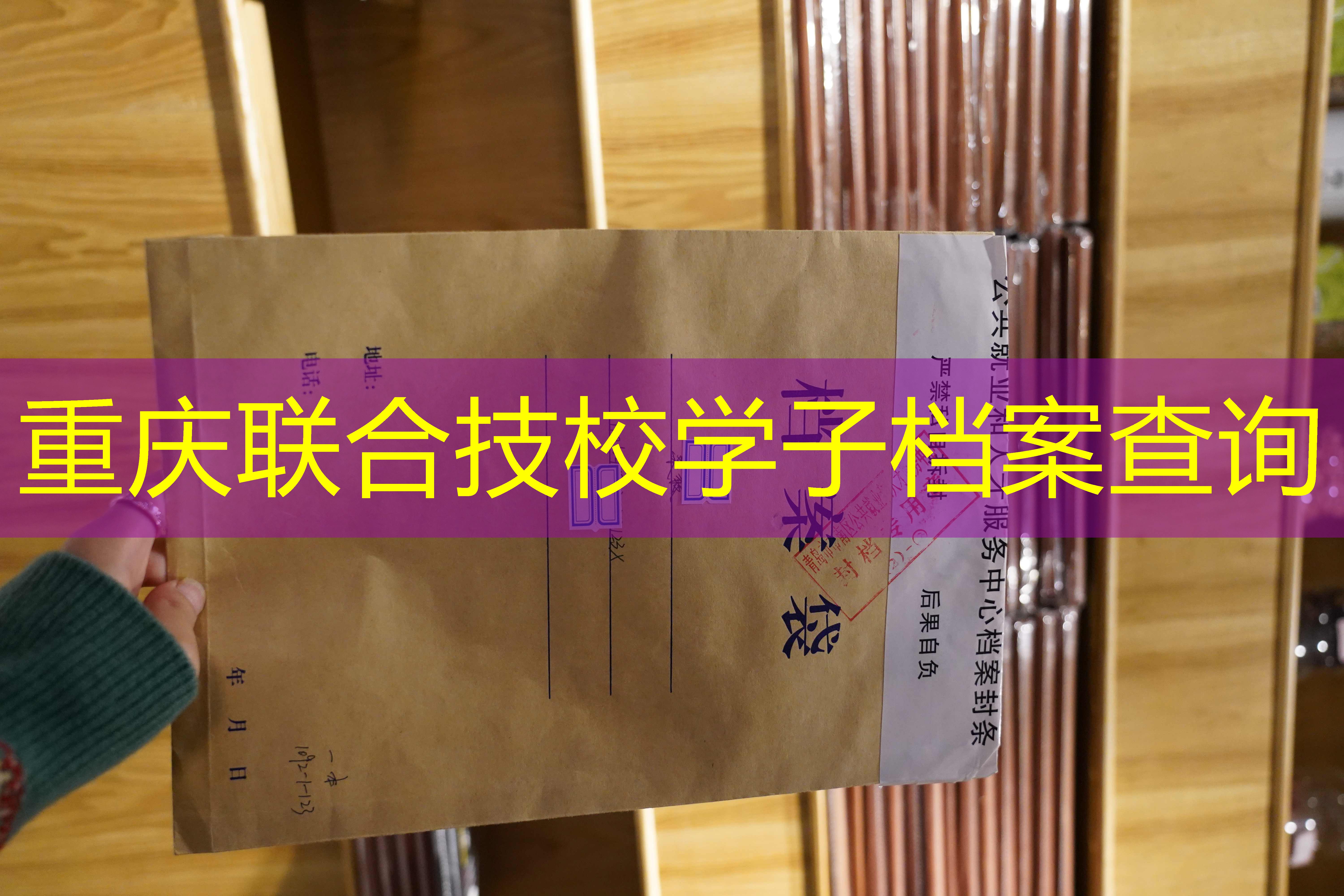 档案查询