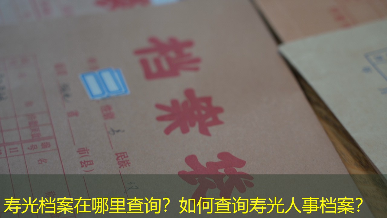 档案查询