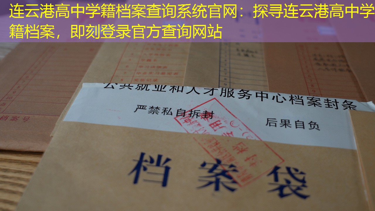 档案查询