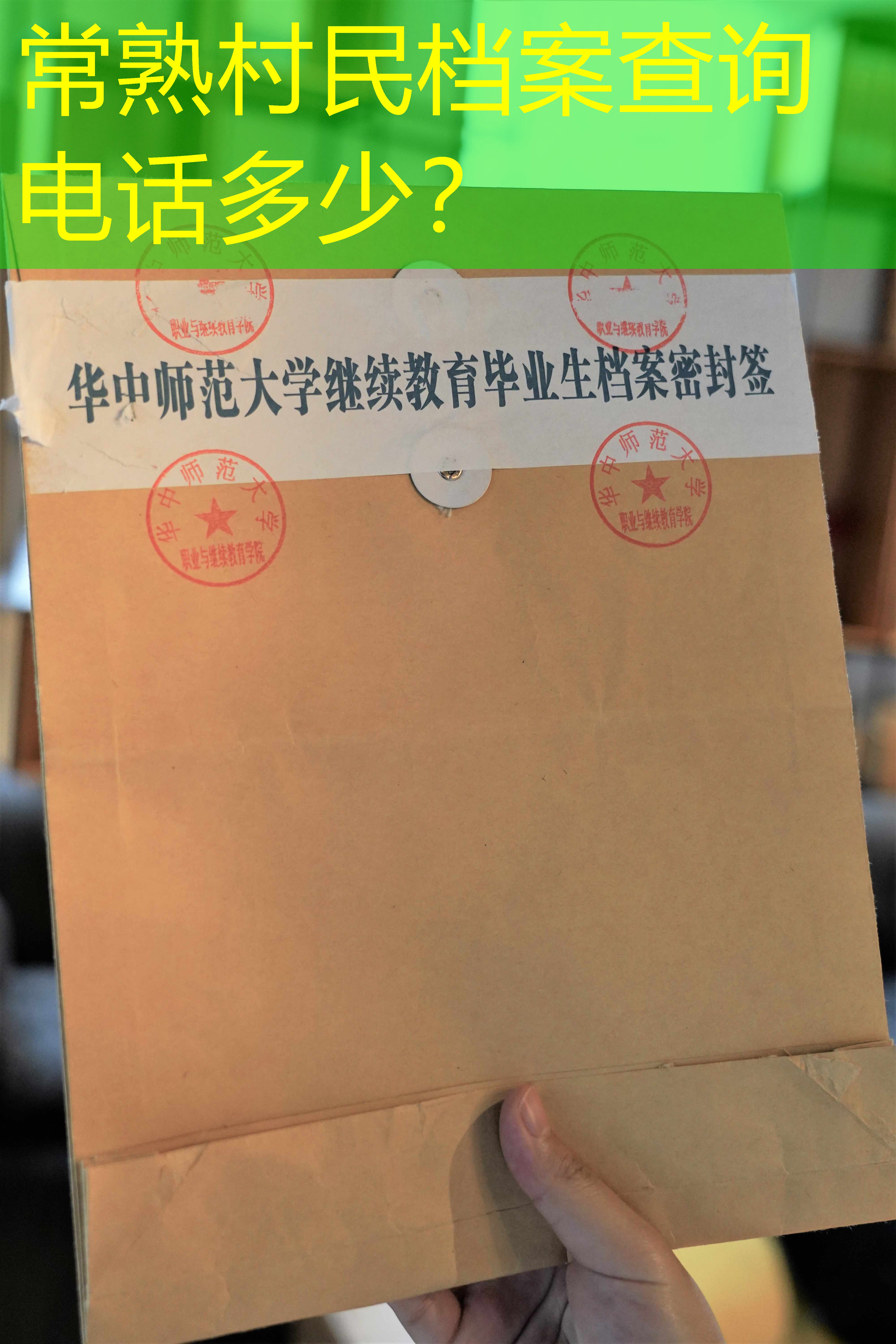 档案查询