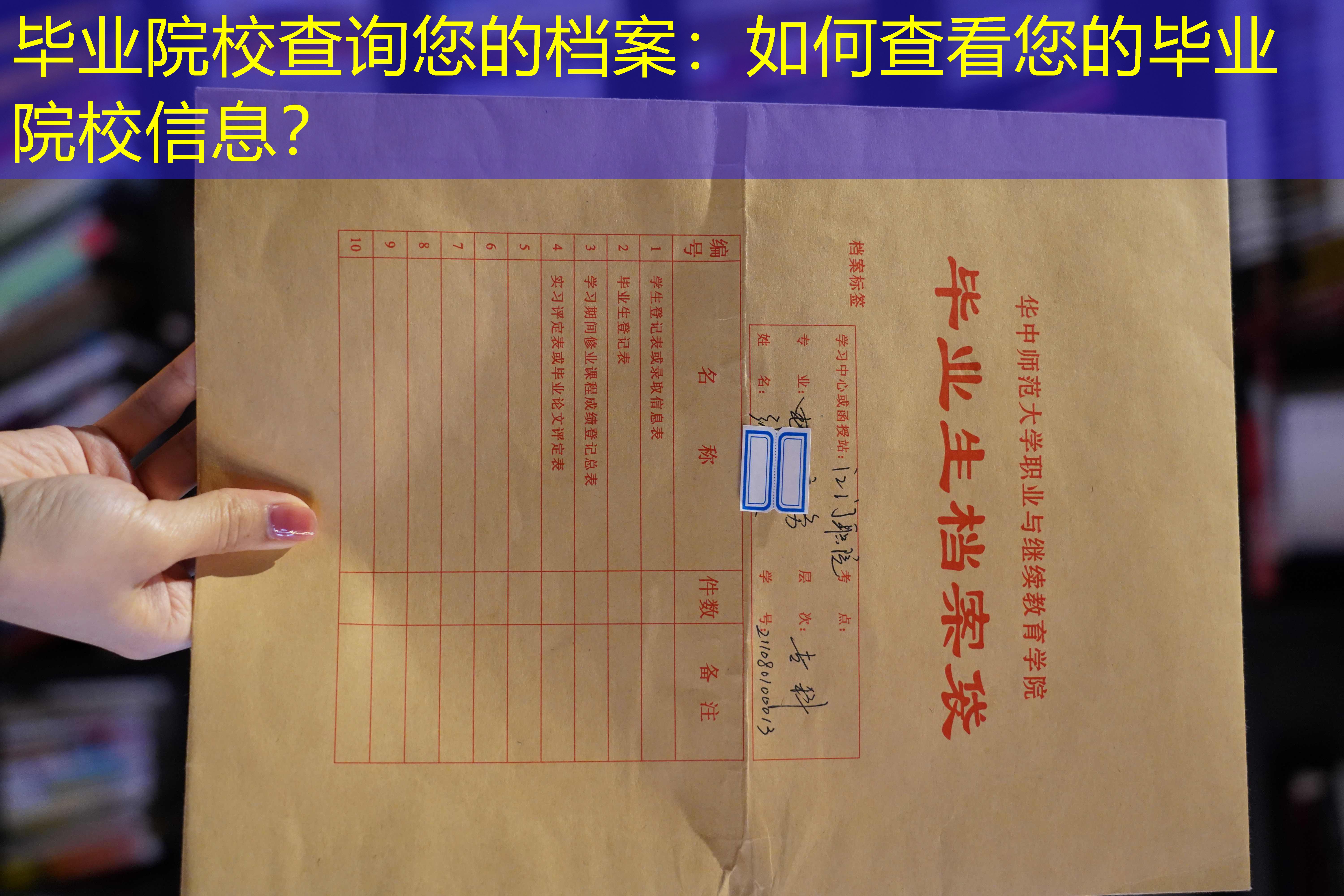 档案查询