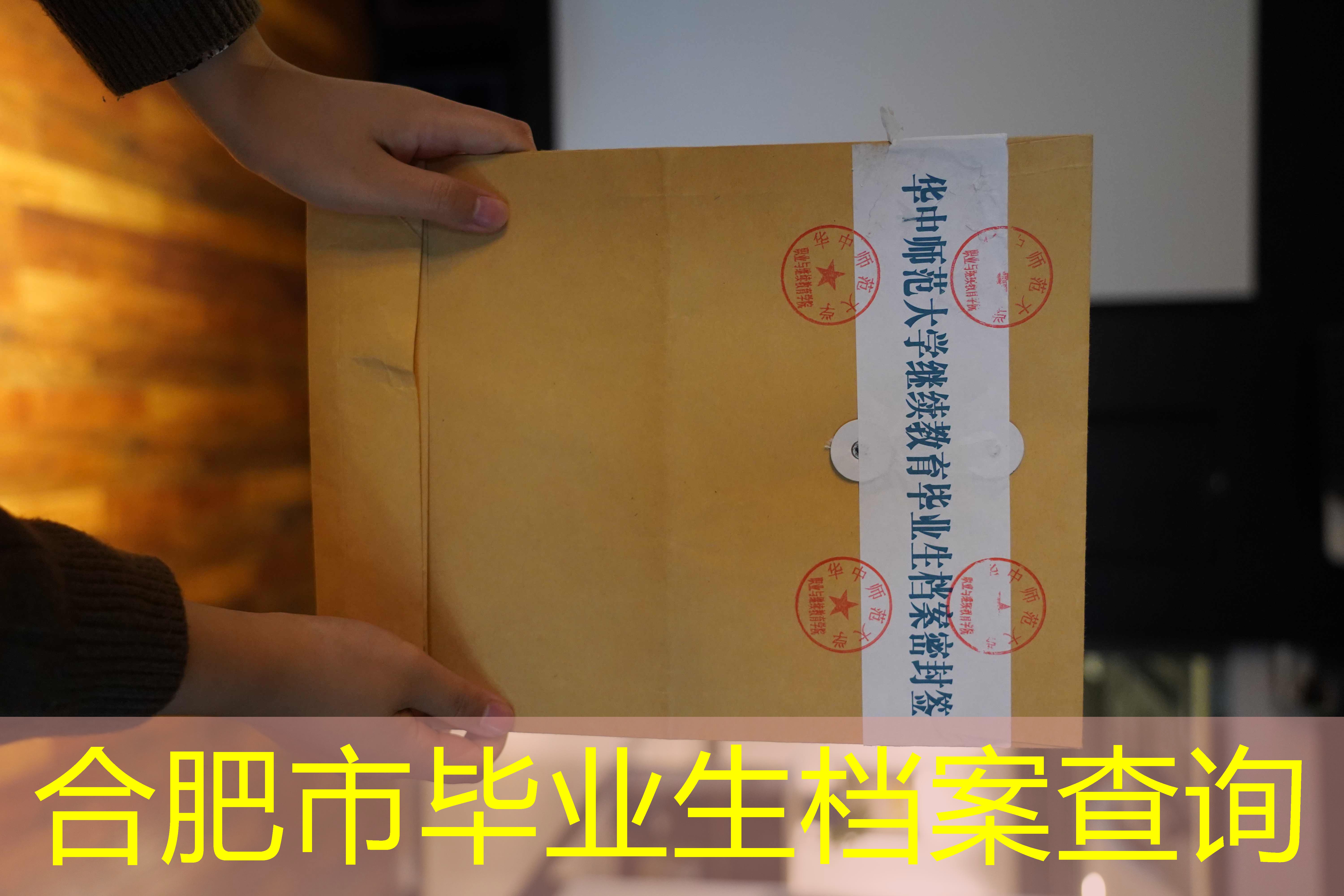 档案查询