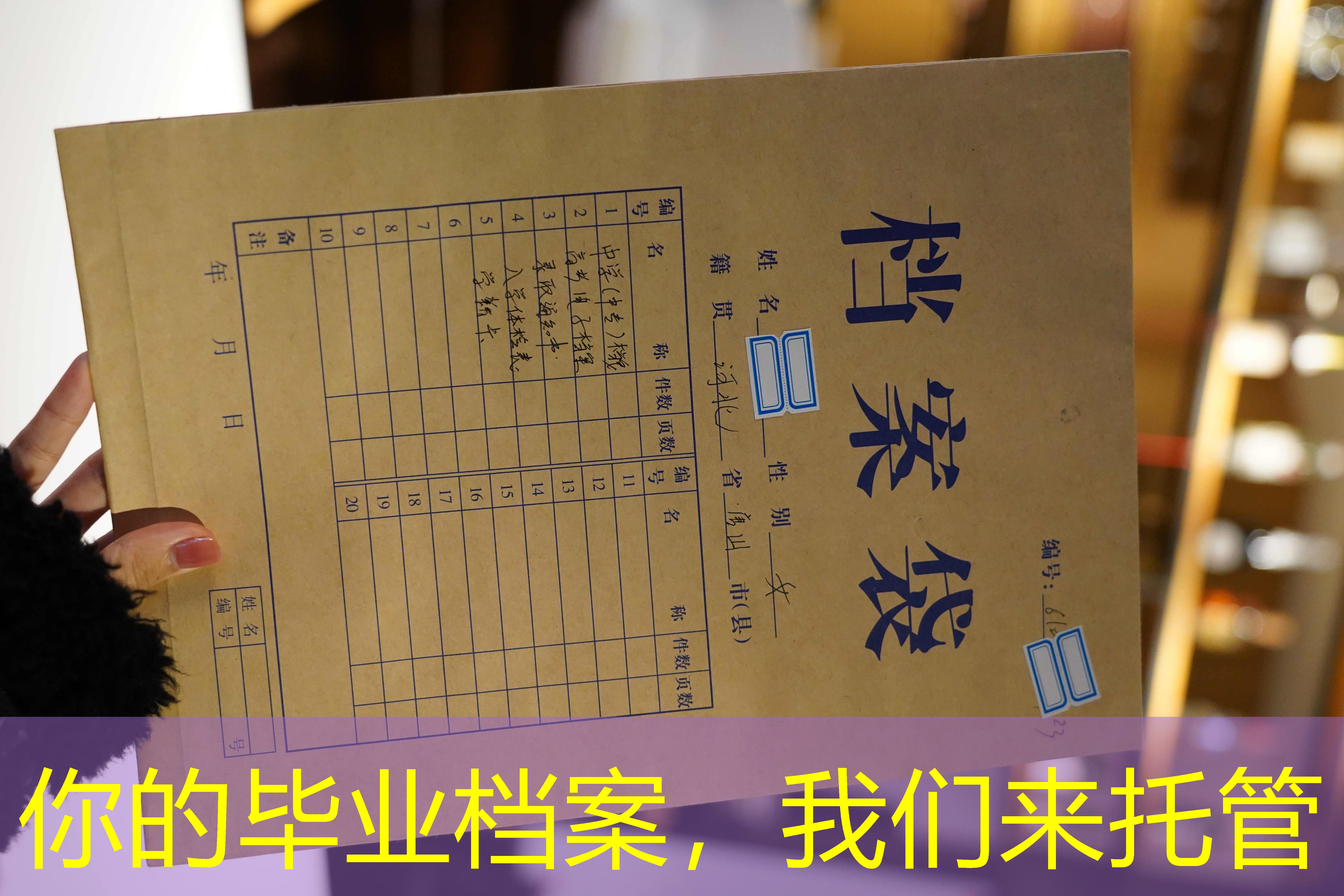 档案查询