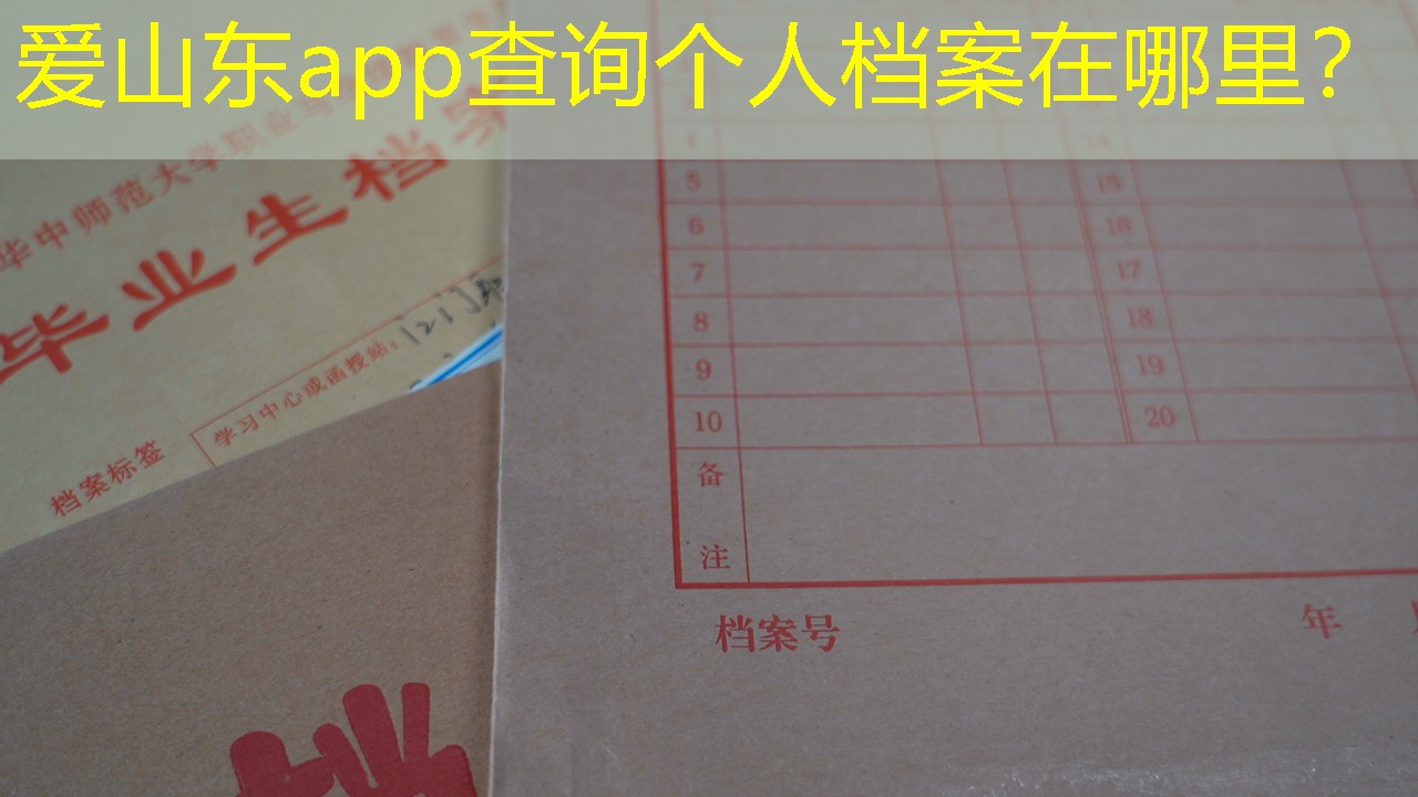 档案查询