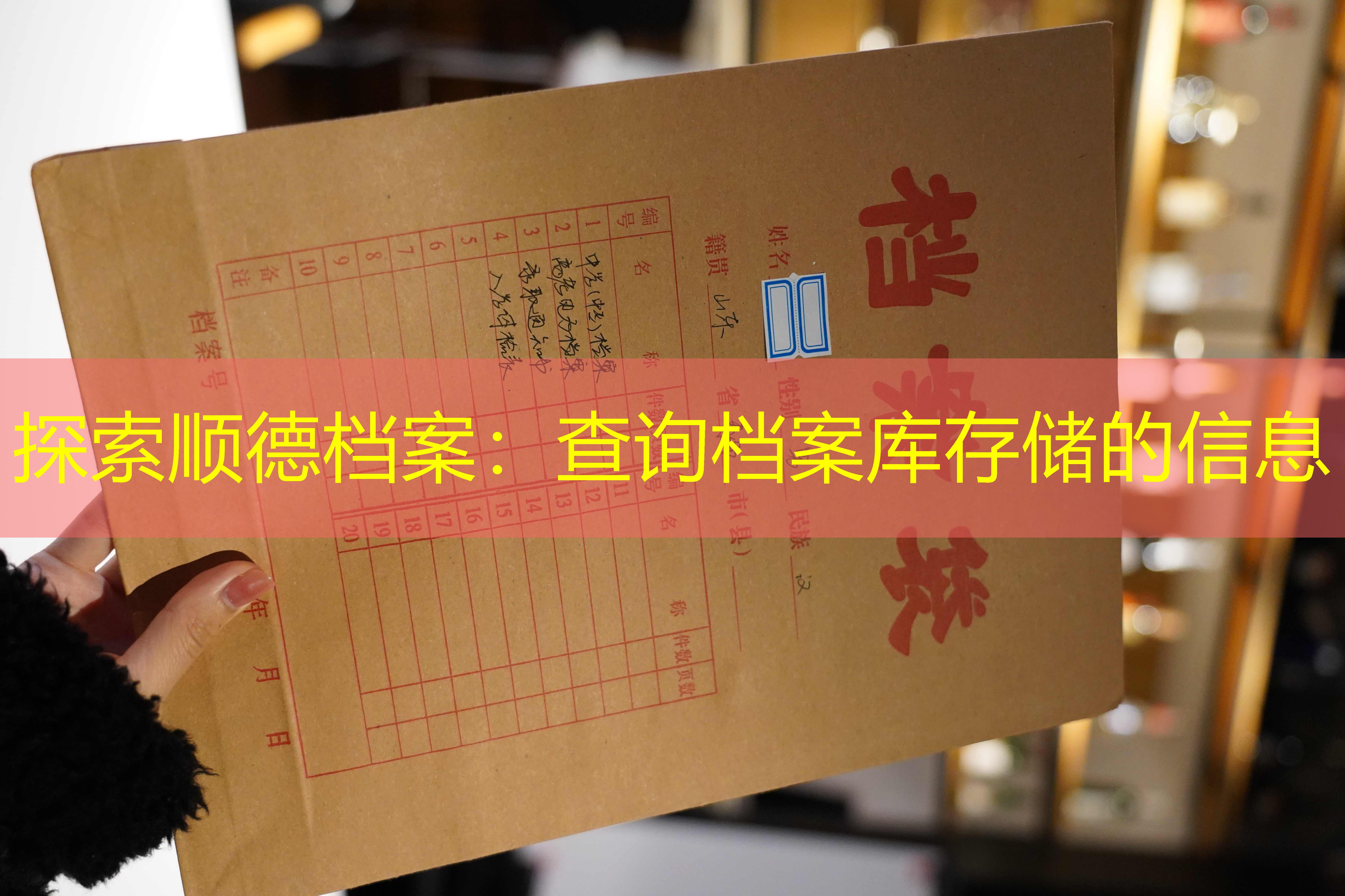 档案查询