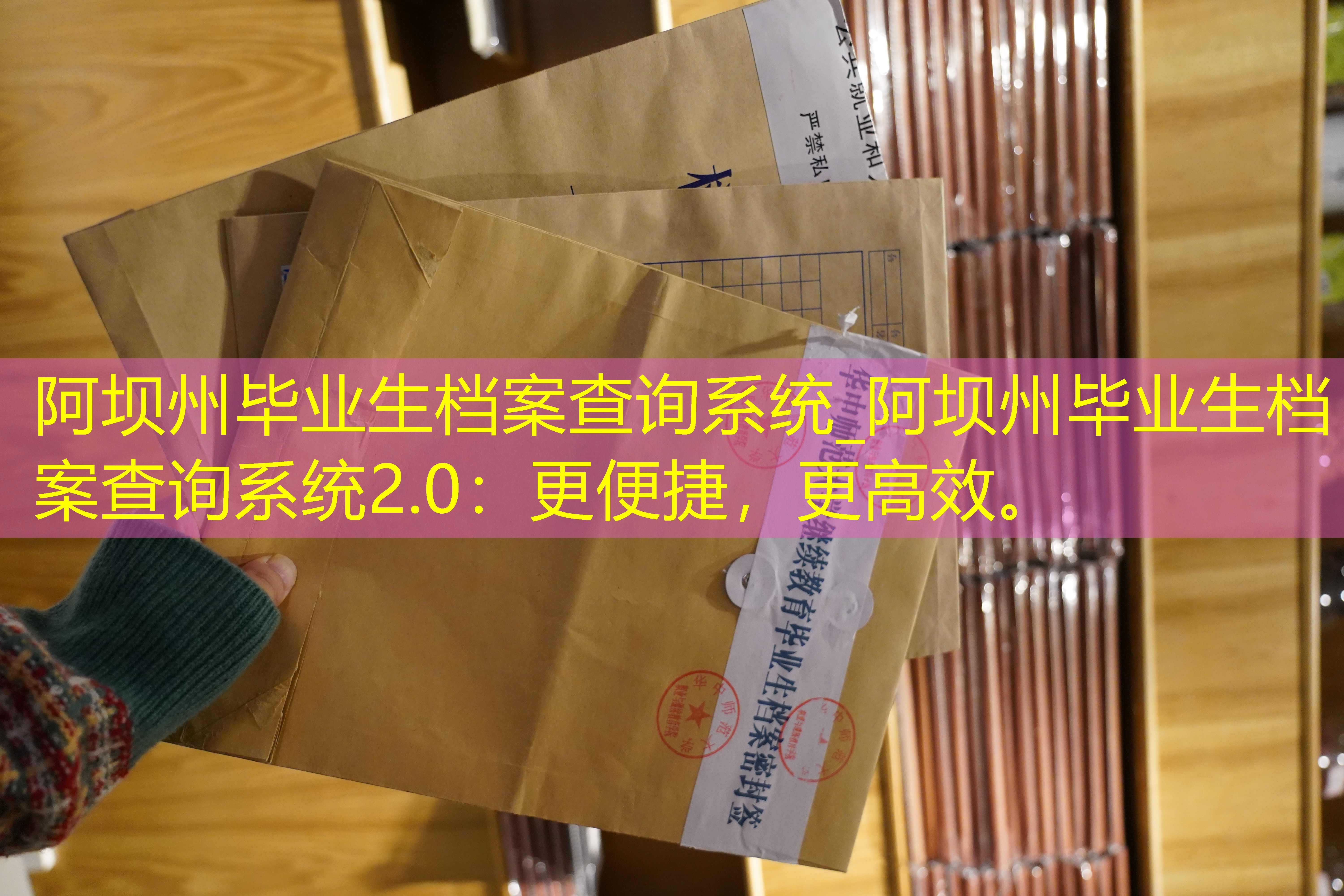 档案查询