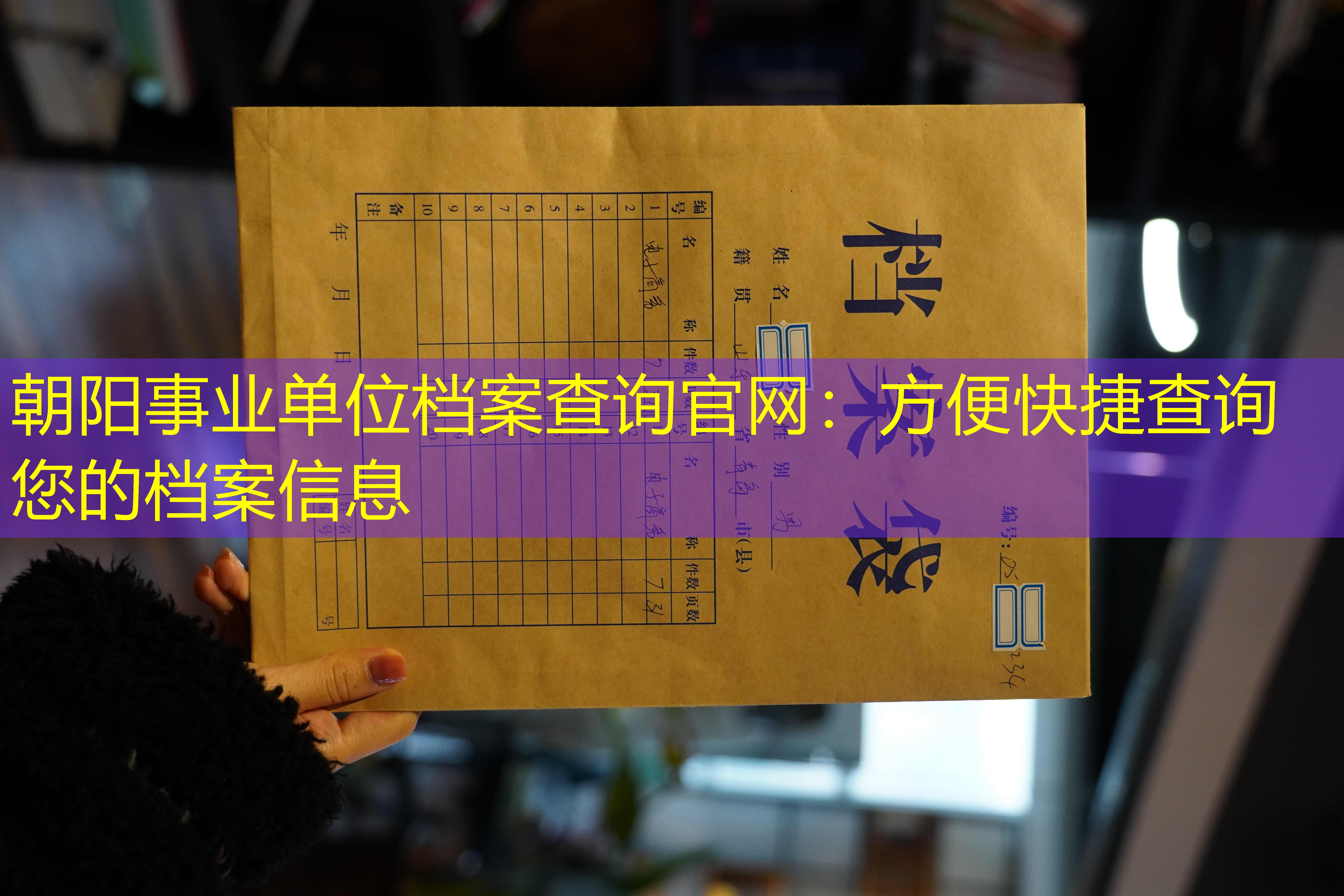 档案查询