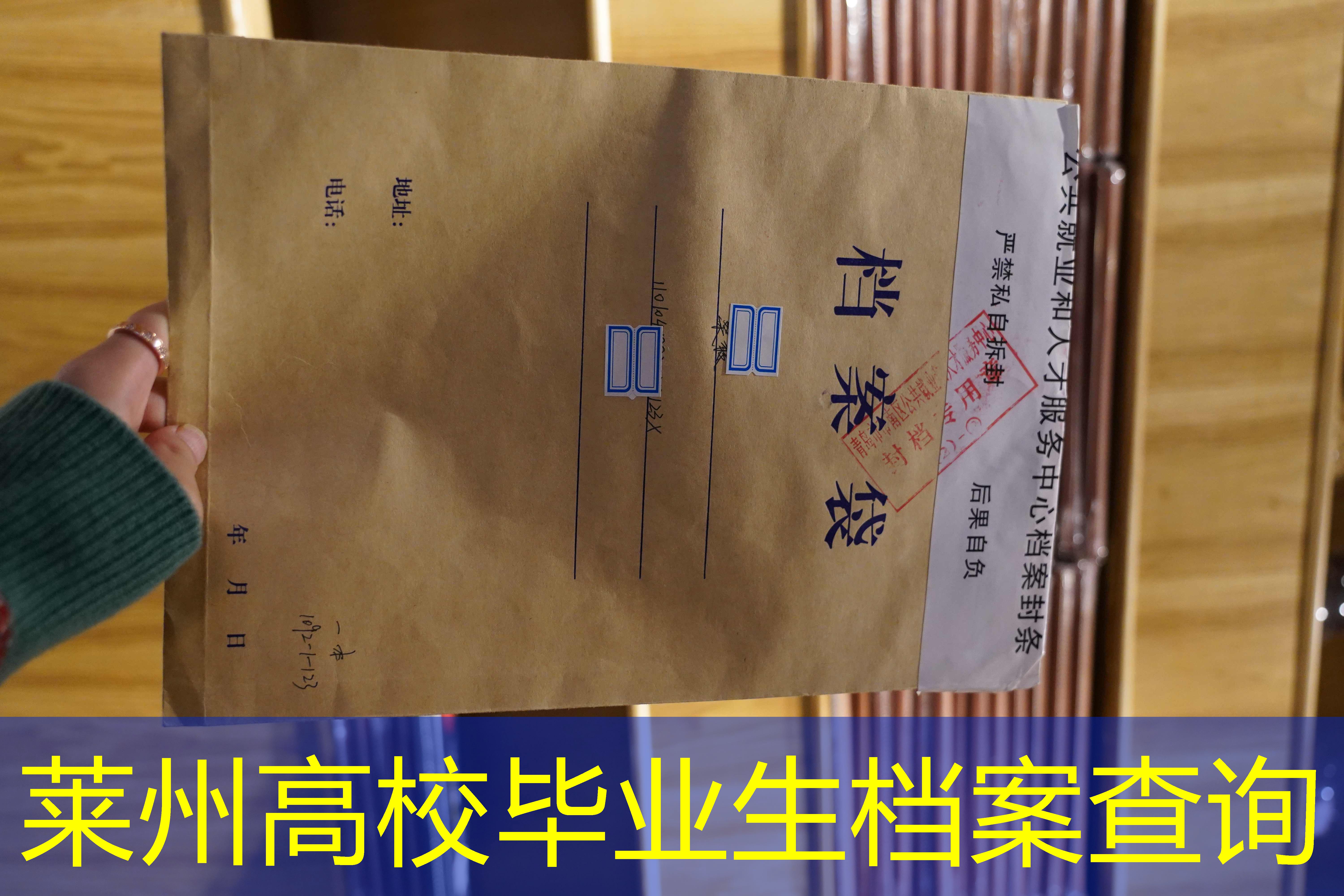 档案查询