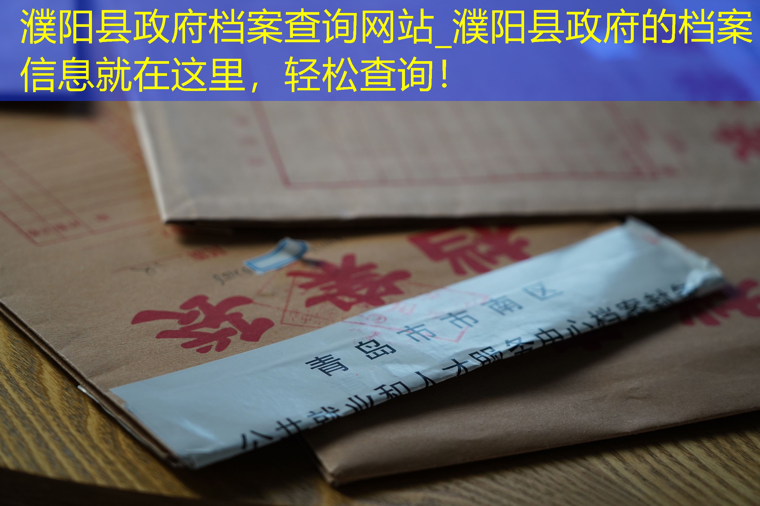 档案查询