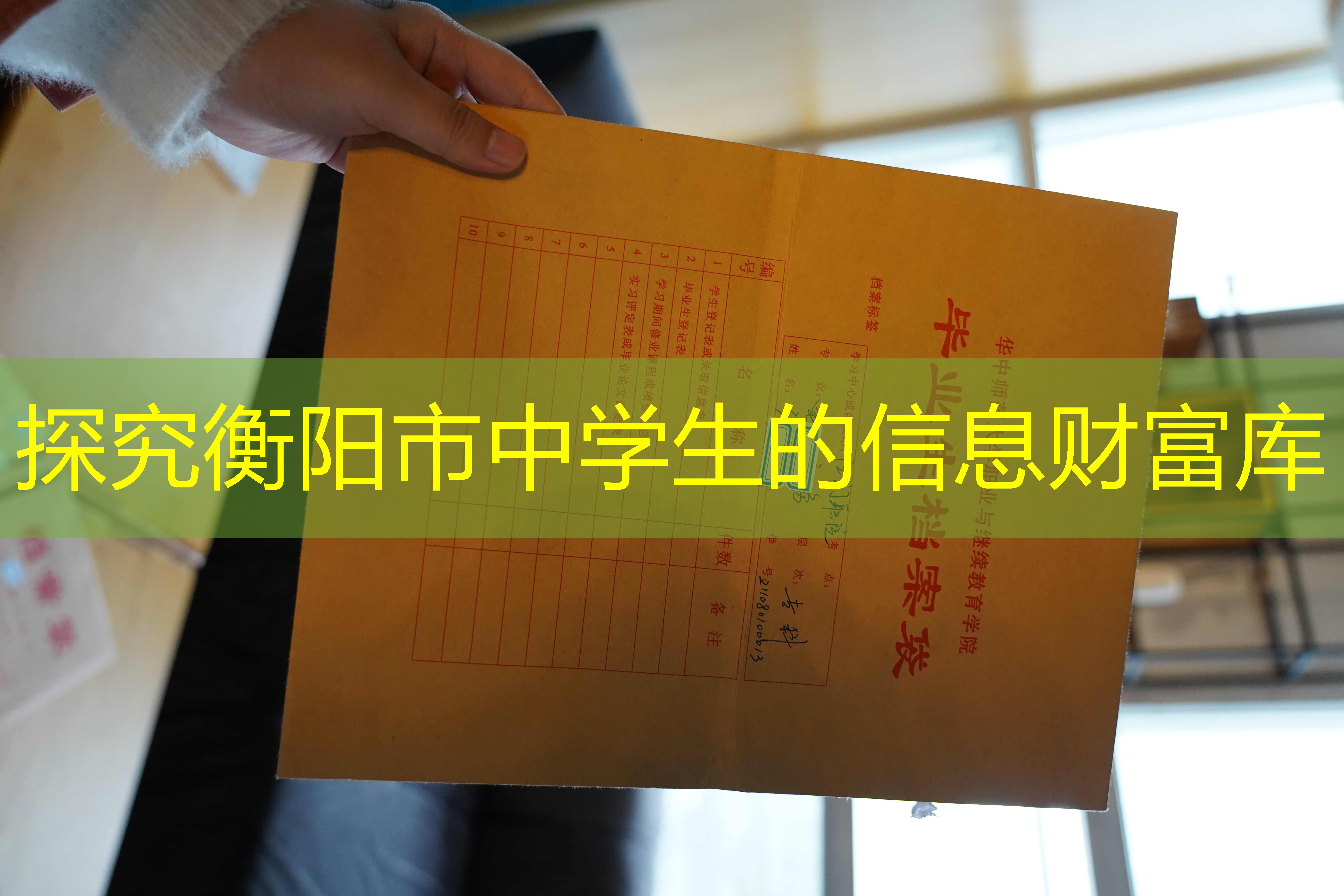档案查询