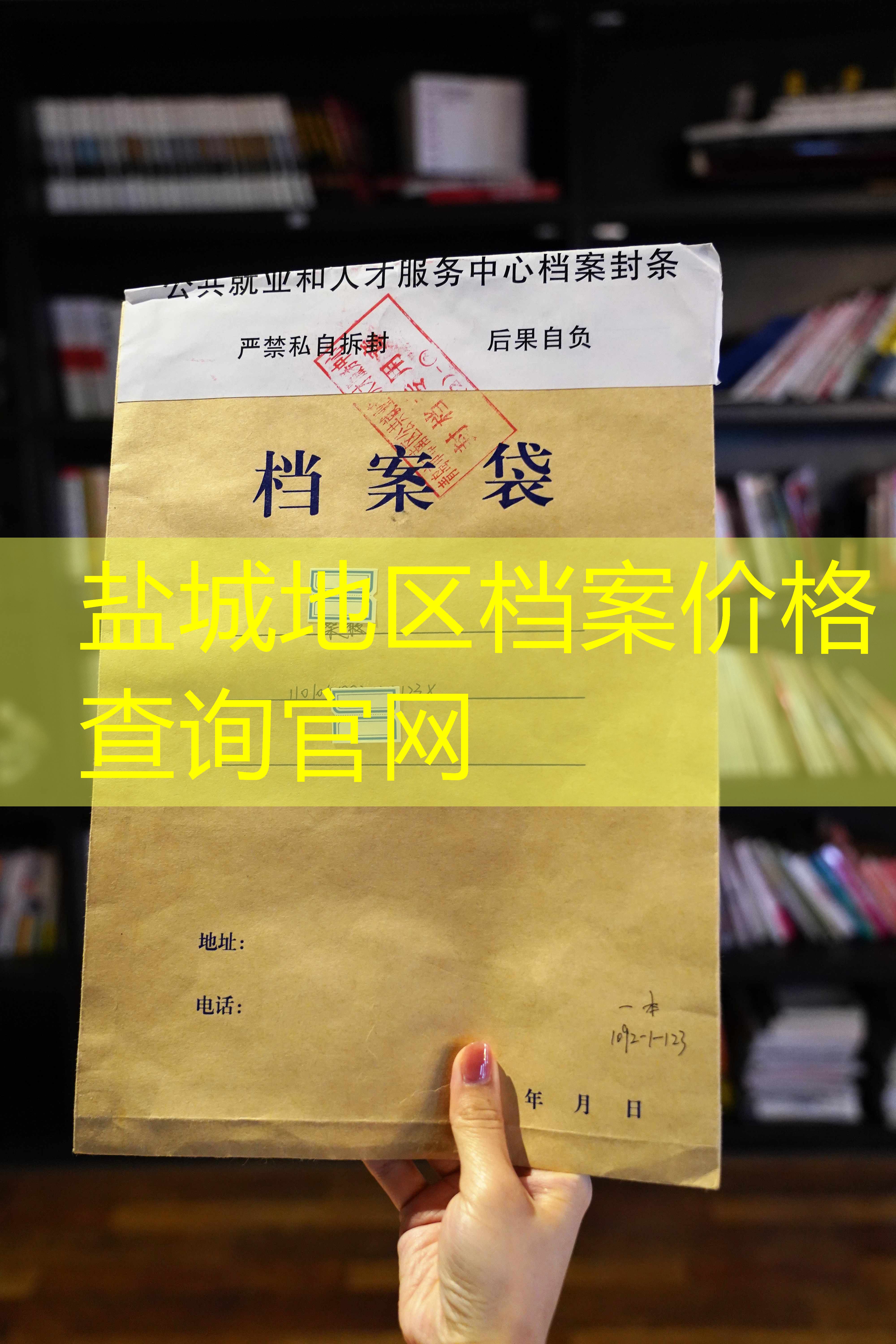 档案查询