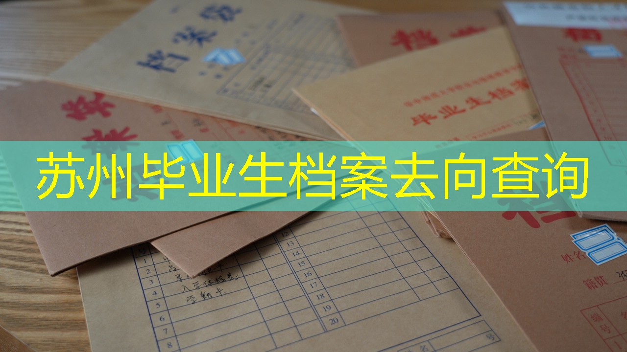 档案查询